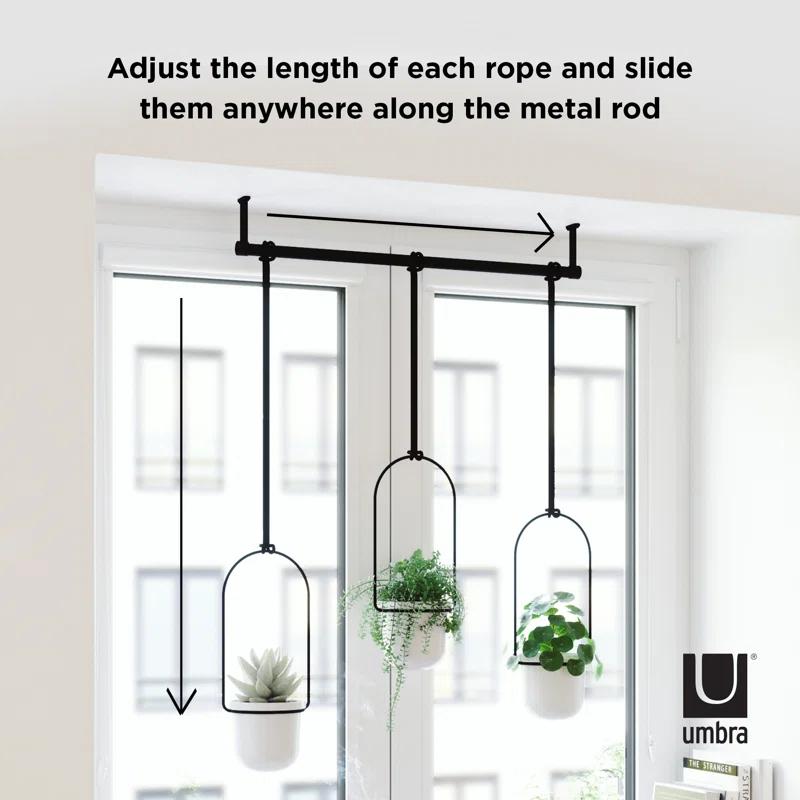 Tri-Flora Hanging Planter