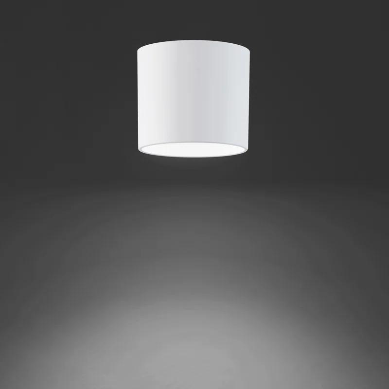 Squat LED Cylinder Outdoor Flush Mount