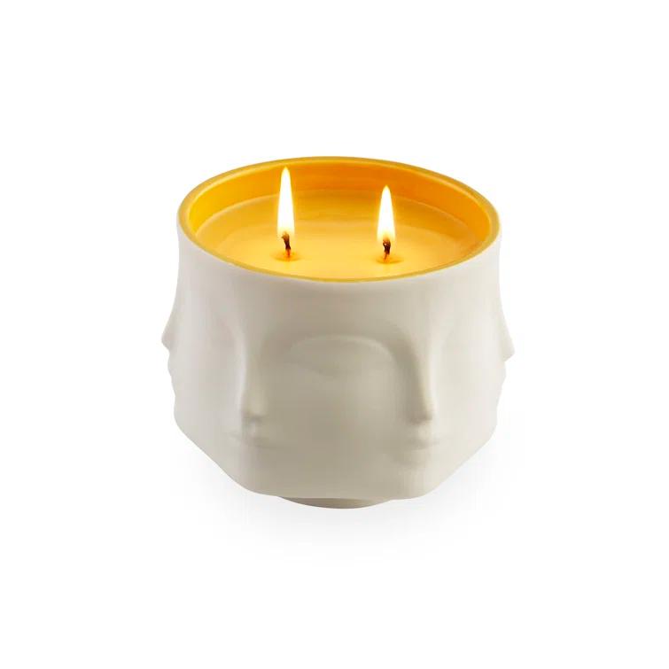 Jonathan Adler Muse Pink Grapefruit, White Grapefruit Rind, Green Vine Accords, Pink Freesia, And Passion Fruit Scented Designer Candle with Porcelain Holder