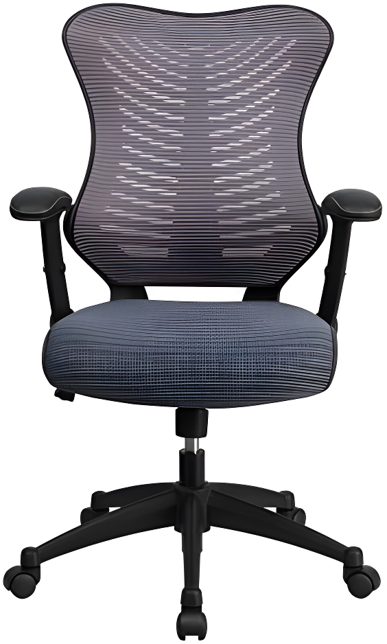 Siwar High-Back Designer Ergonomic Office Chair with Adjustable Armrests