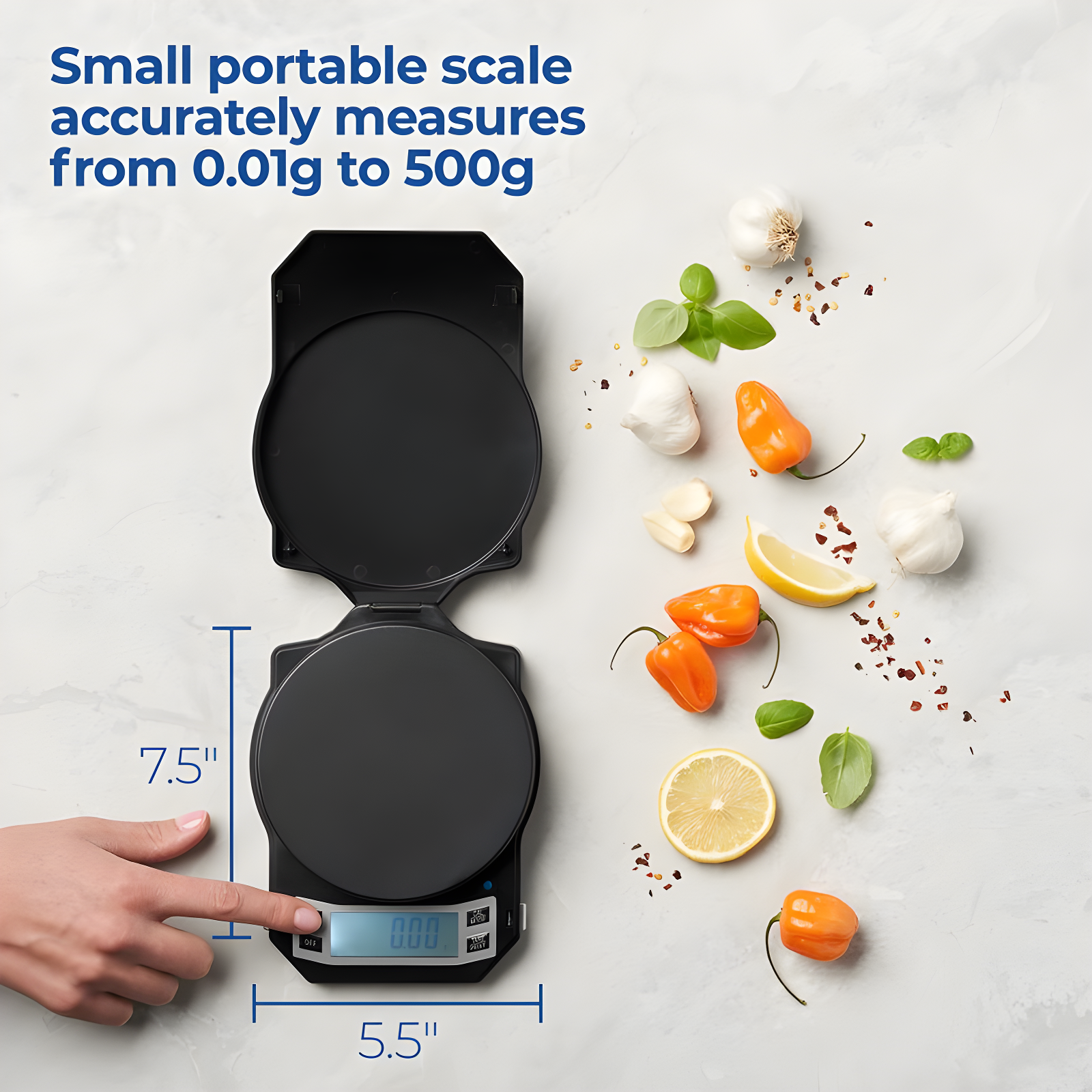 American Weigh Scales American Weigh Scales Scale