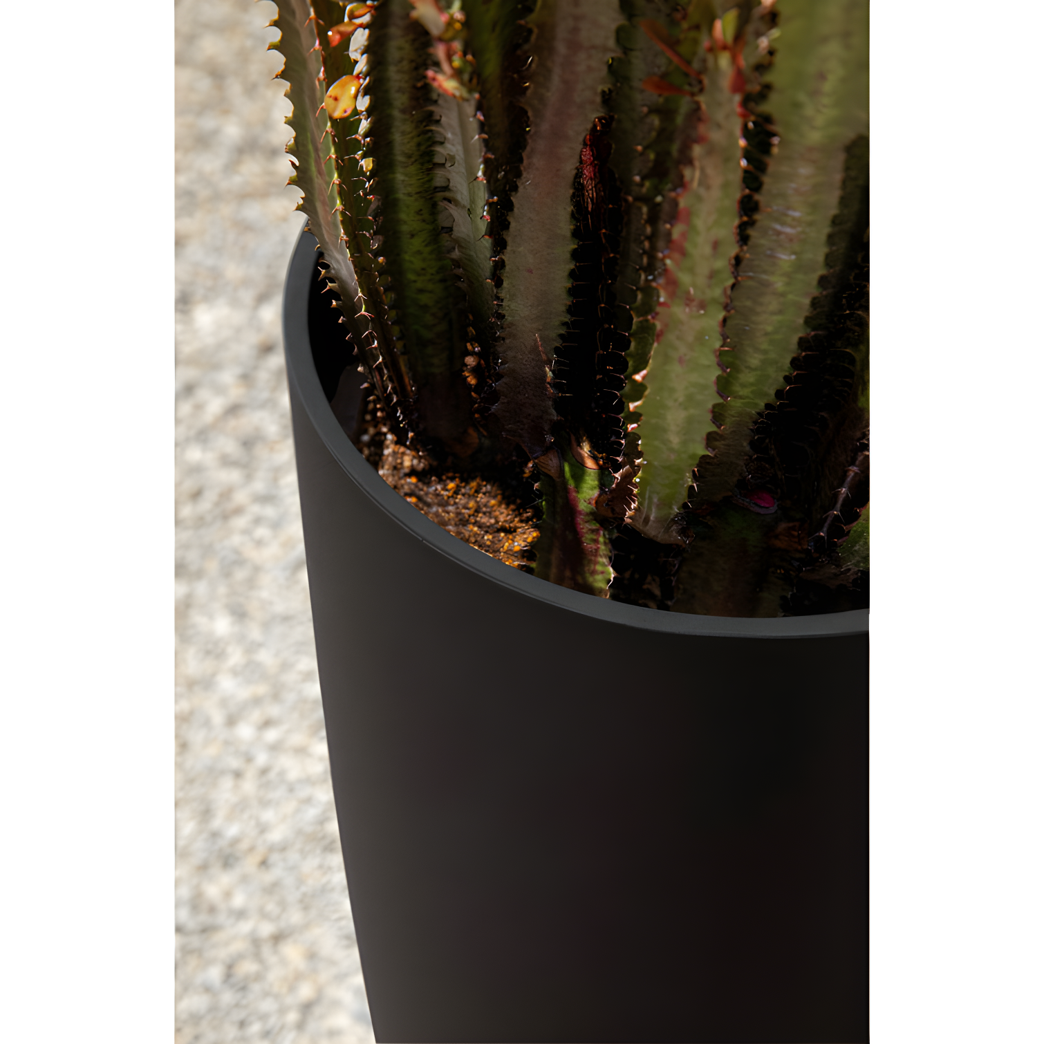 Mason Series Selena Planter