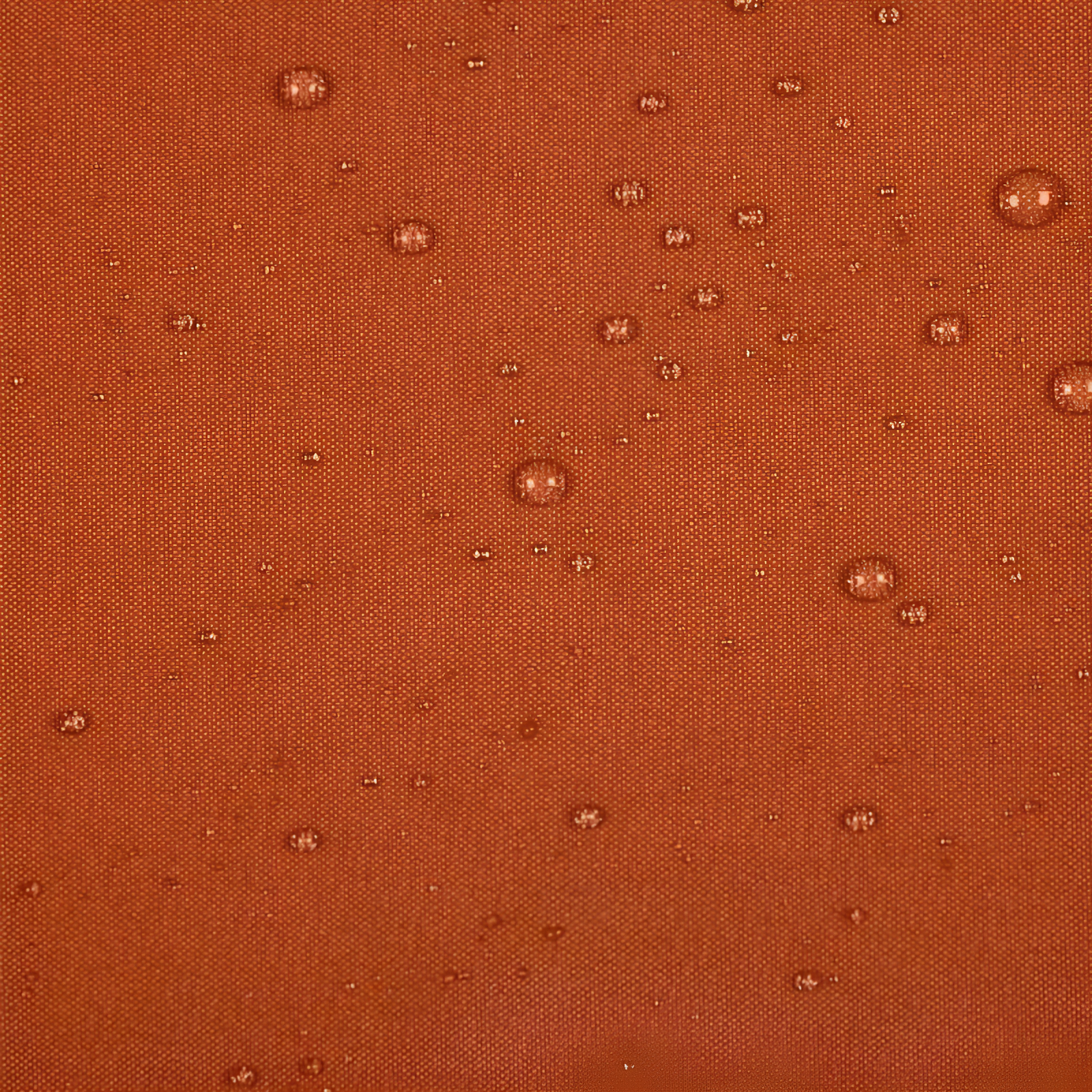 Amalgamated Textiles Polyester Curtain & Reviews | Wayfair