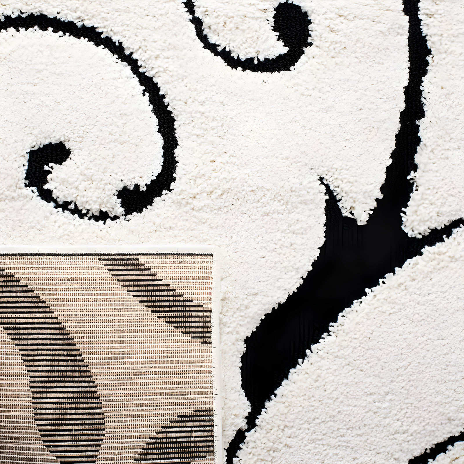 Florida Shag SG455 Power Loomed Indoor Area Rug - Ivory/Black - 8'x10' - Safavieh.