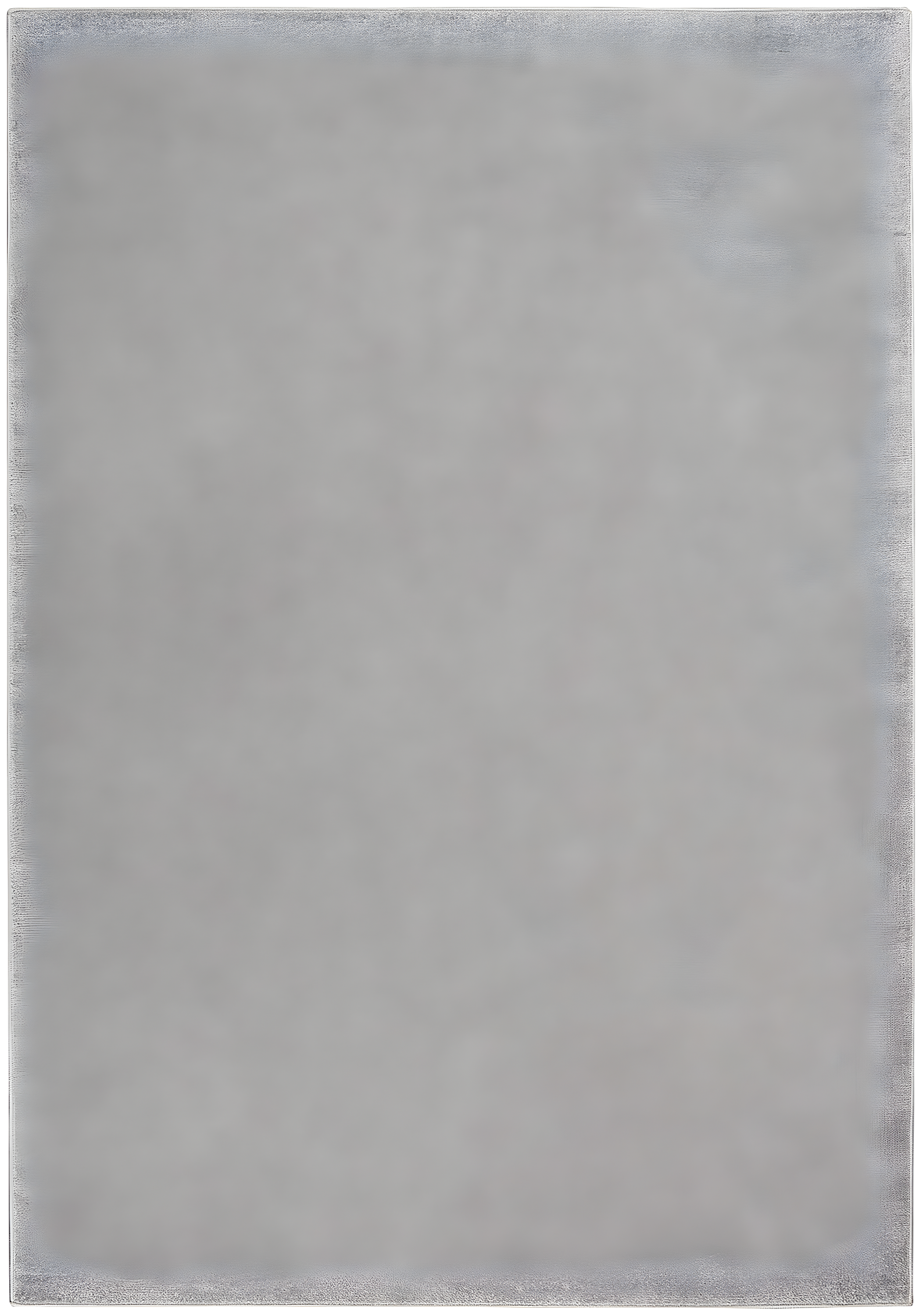 Nourison Essentials Easy Care Indoor Outdoor Area Rug - Silver Grey 4' x 6'