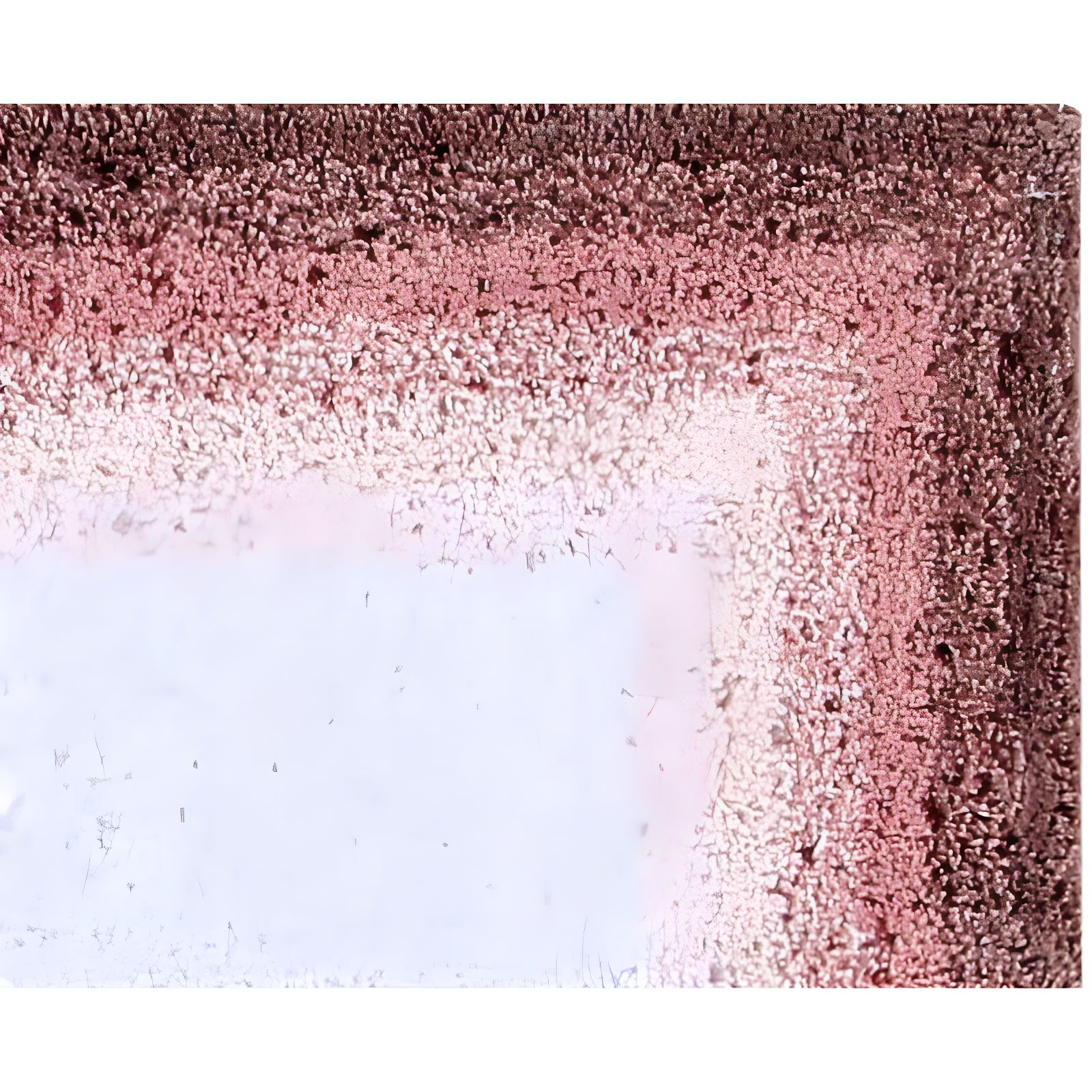 30" Round Torrent Collection 100% Cotton Bath Rug Rose - Better Trends: Machine Washable, Tufted, Ombre Design, Spray Latex Backing