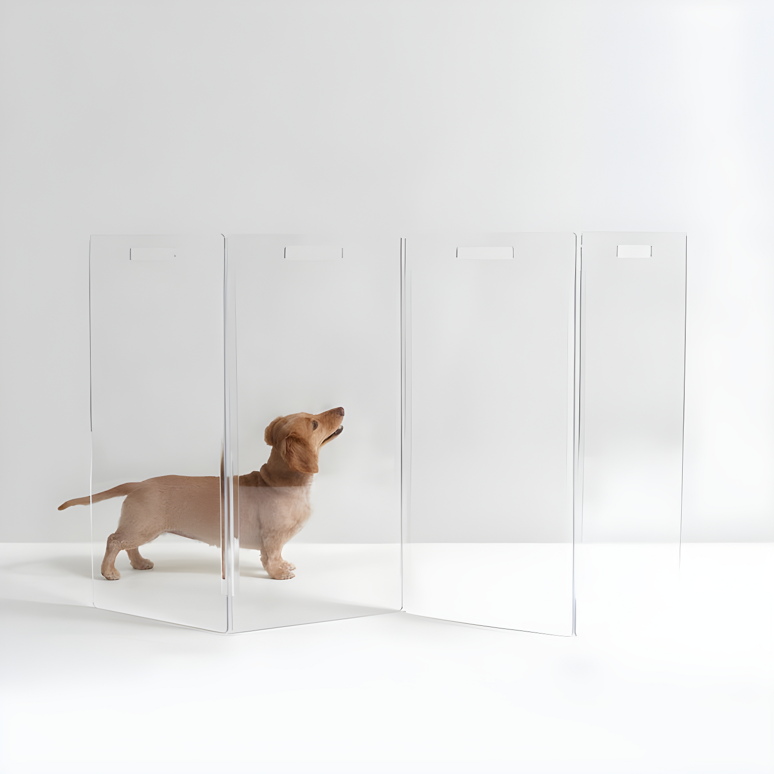 Hiddin Clear Freestanding Tall Zig Zag Pet Gate