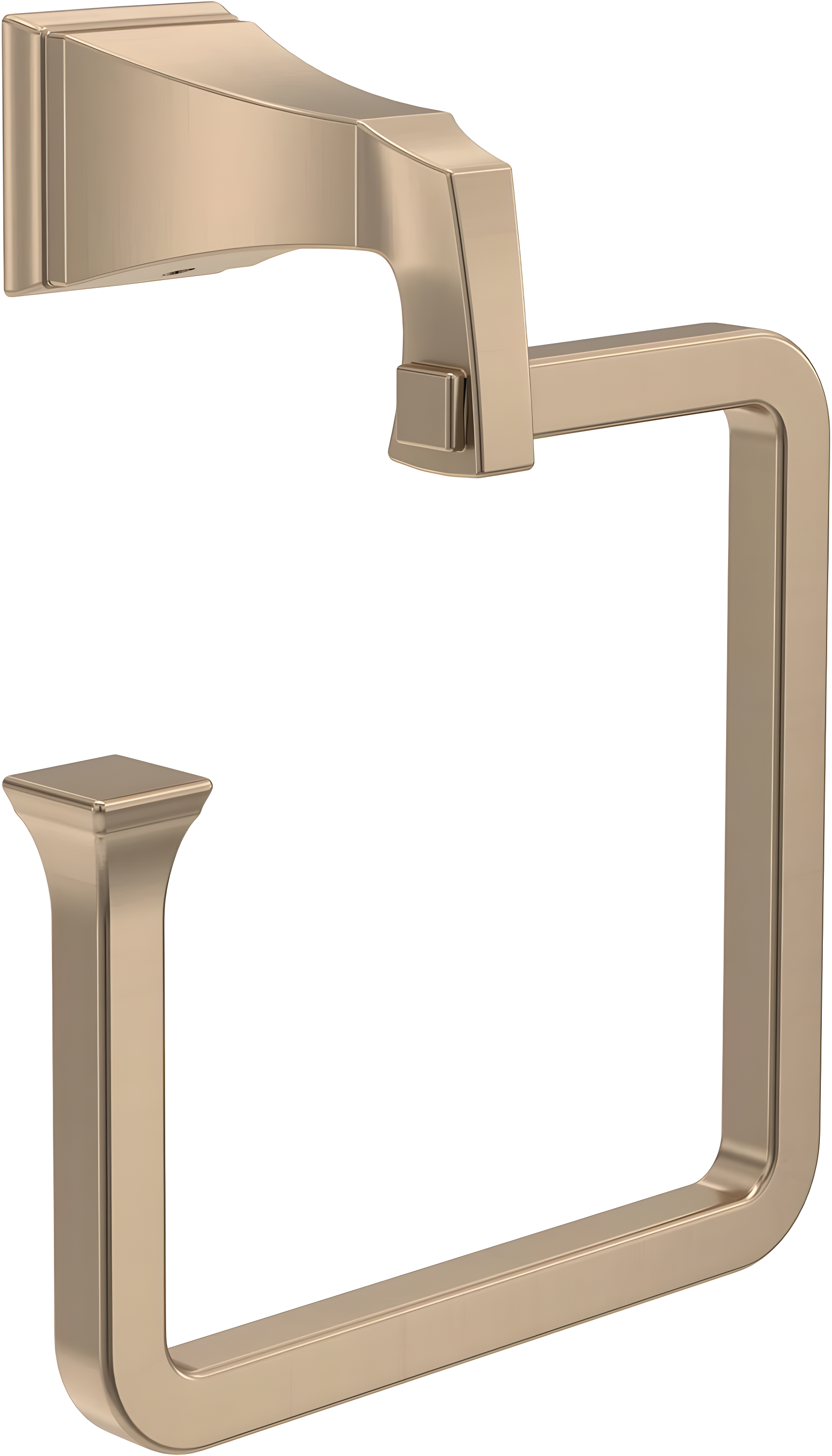 Dryden Towel Ring