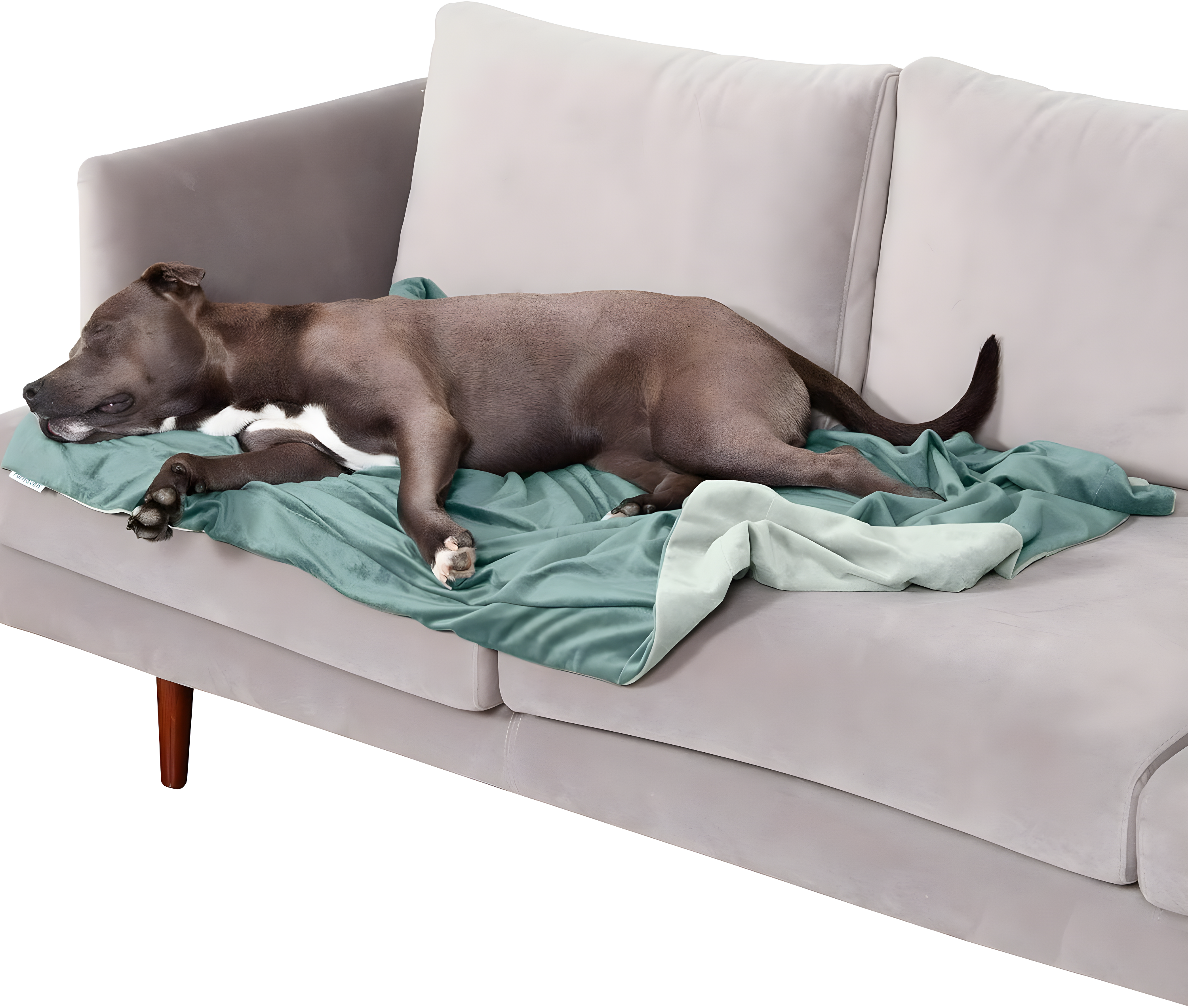 FurHaven Waterproof Faux Velvet Throw Blanket