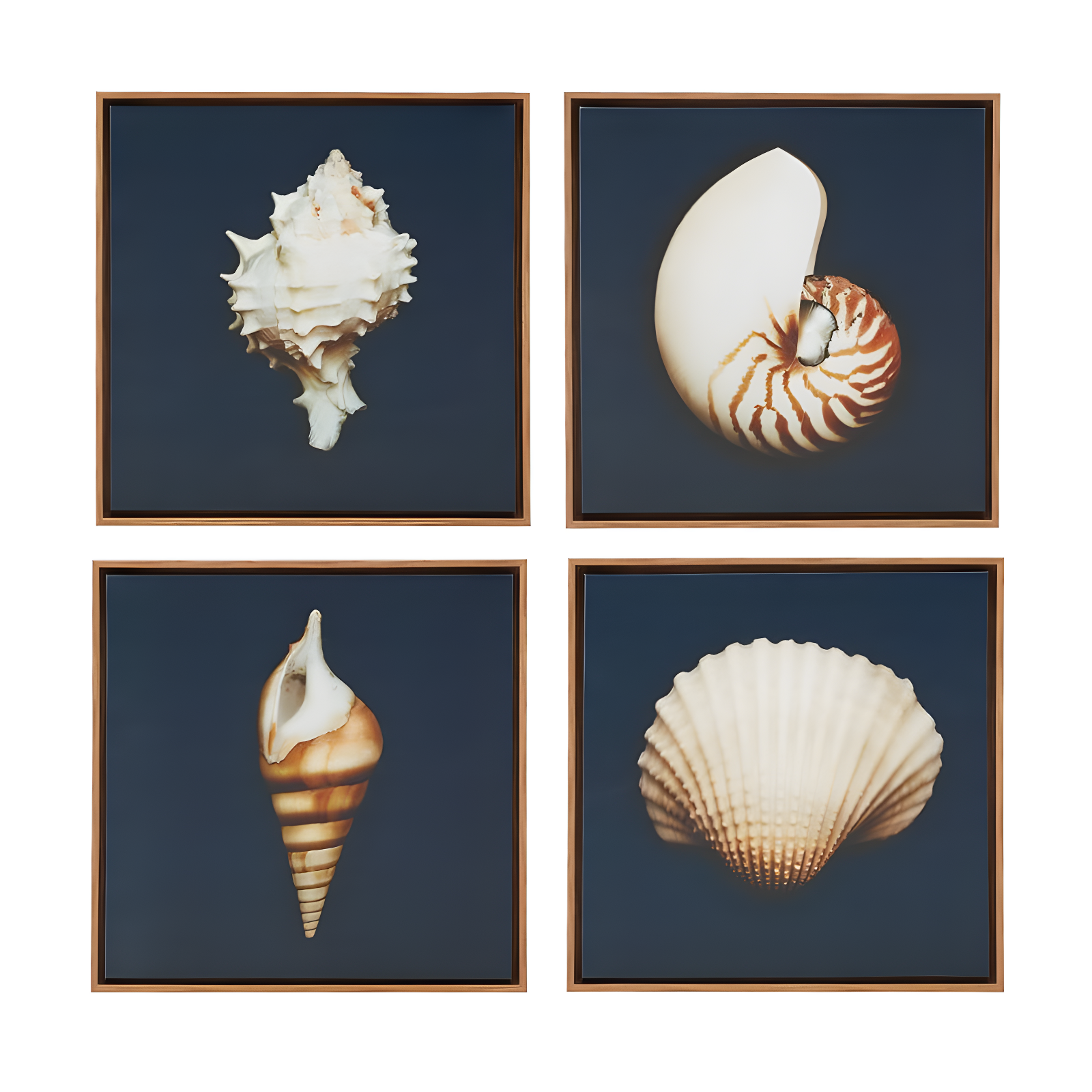 Highland Dunes " Ocean Seashells " by Julie Greenwood 4 - Pieces