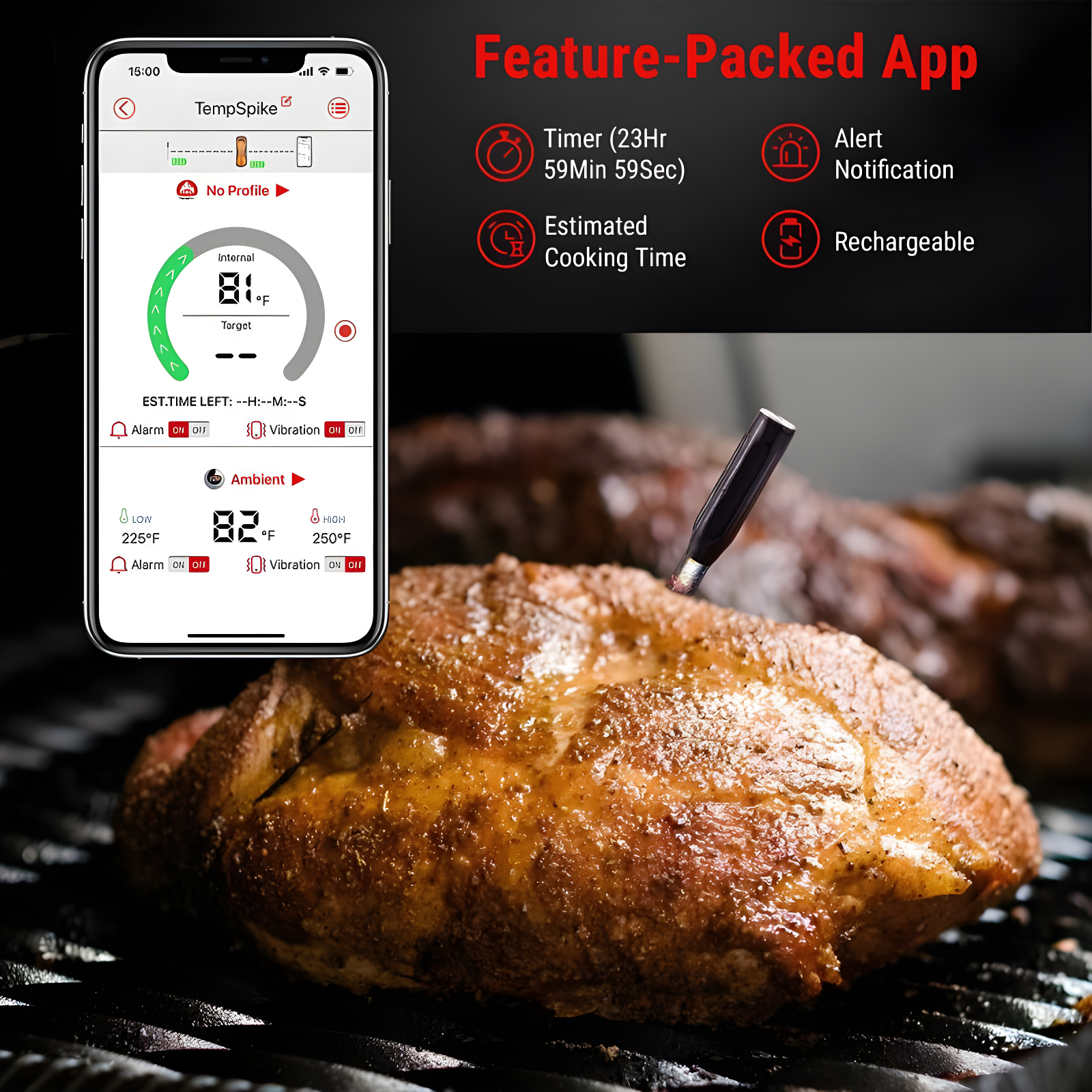 ThermoPro Thermometer