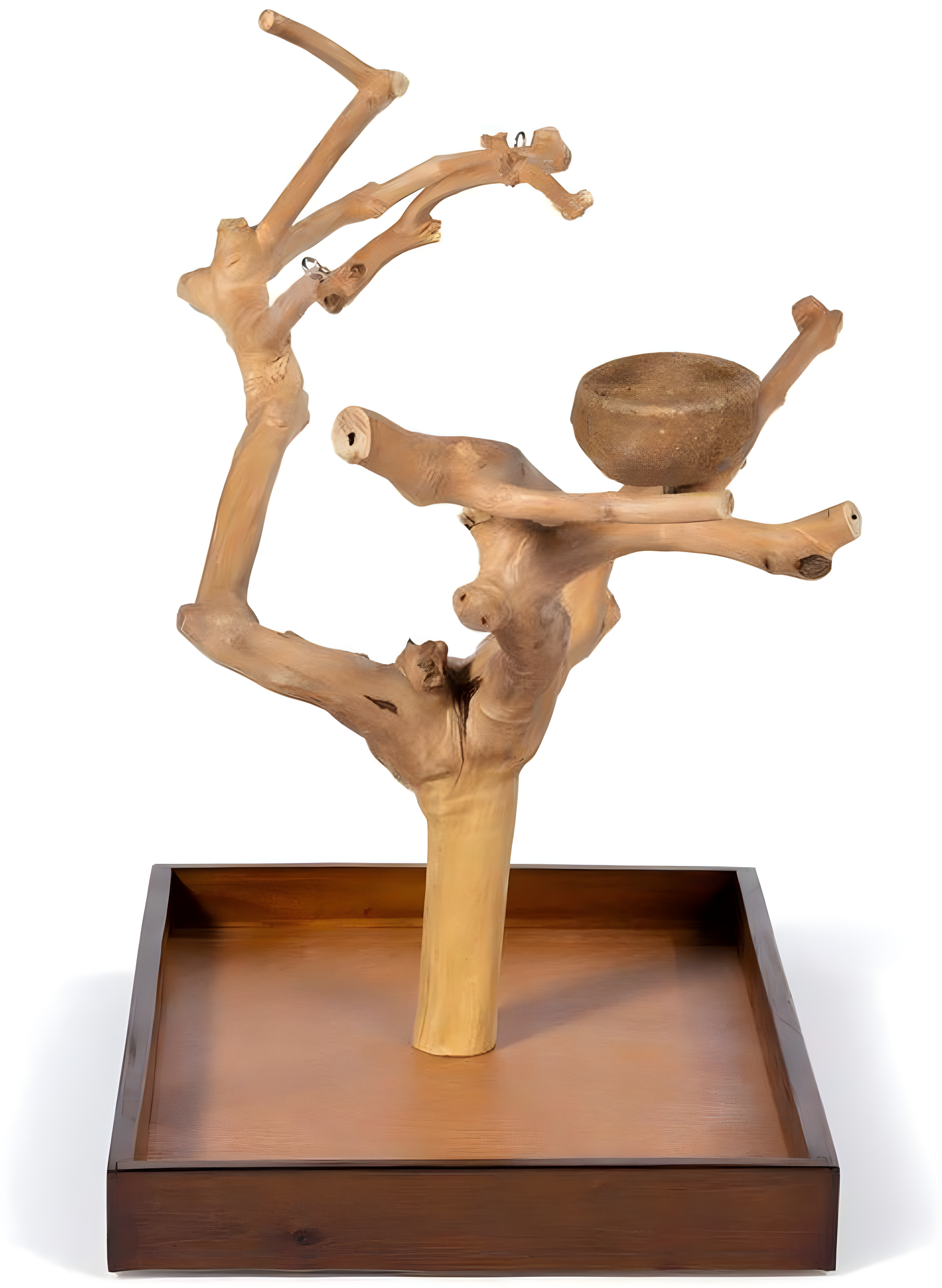 Tucker Murphy Pet™ Freeport One-of-a-Kind 22.5'' Wood Bird Play Stand for Table Top