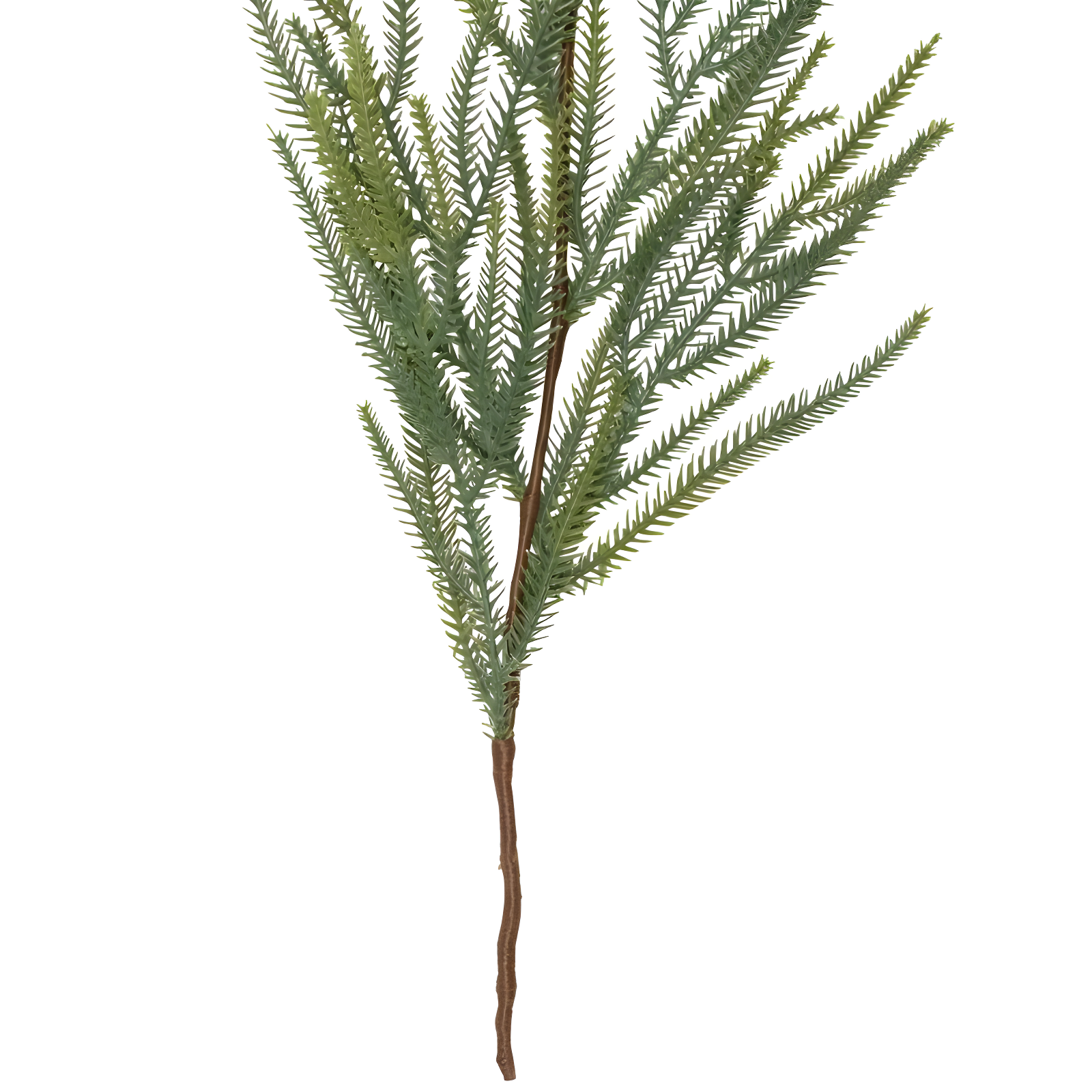 Northlight Seasonal Norfolk Pine Artificial Christmas Garland - 7' - Unlit