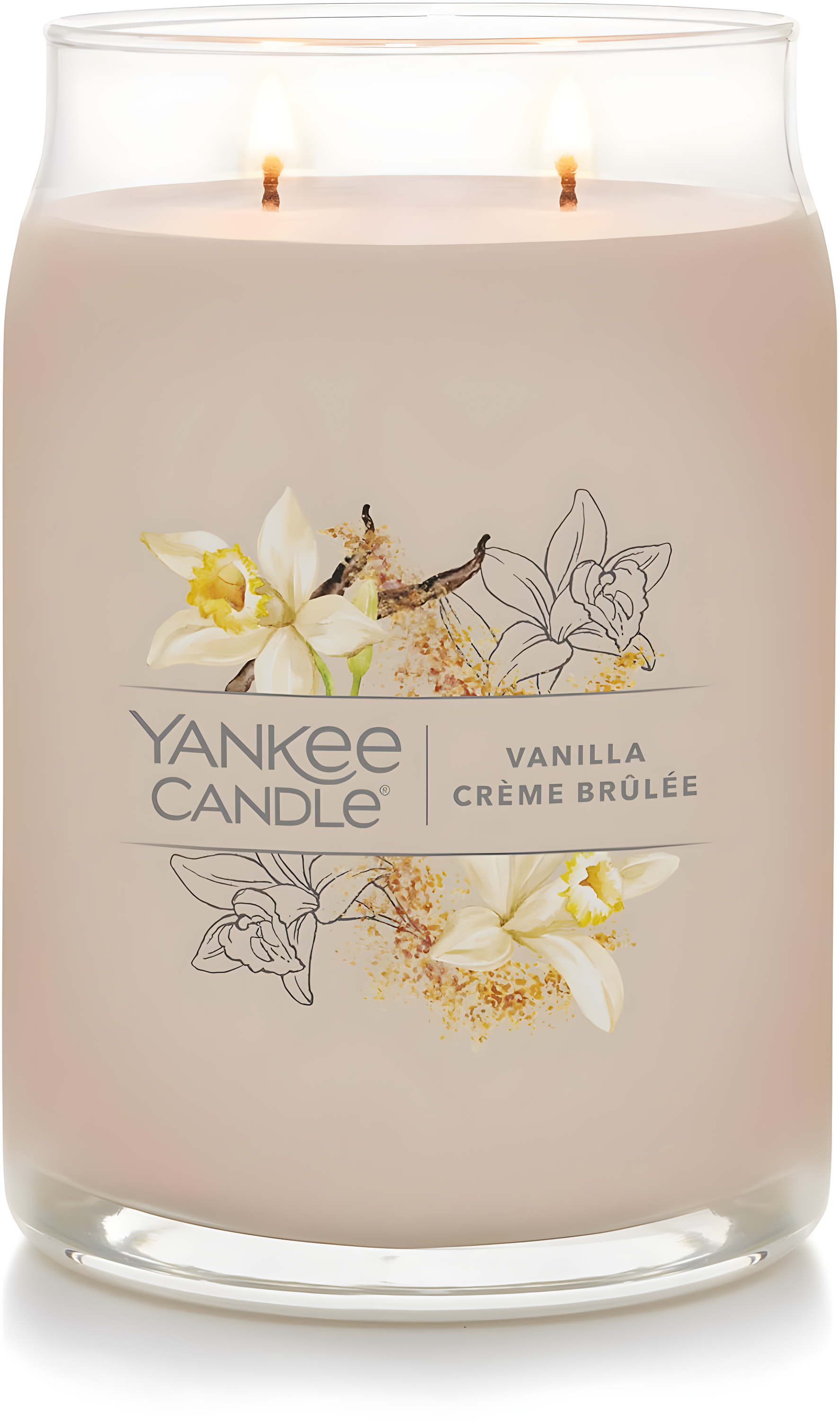 YANKEE CANDLE Signature Vanilla Crème Brulée Scented Candle
