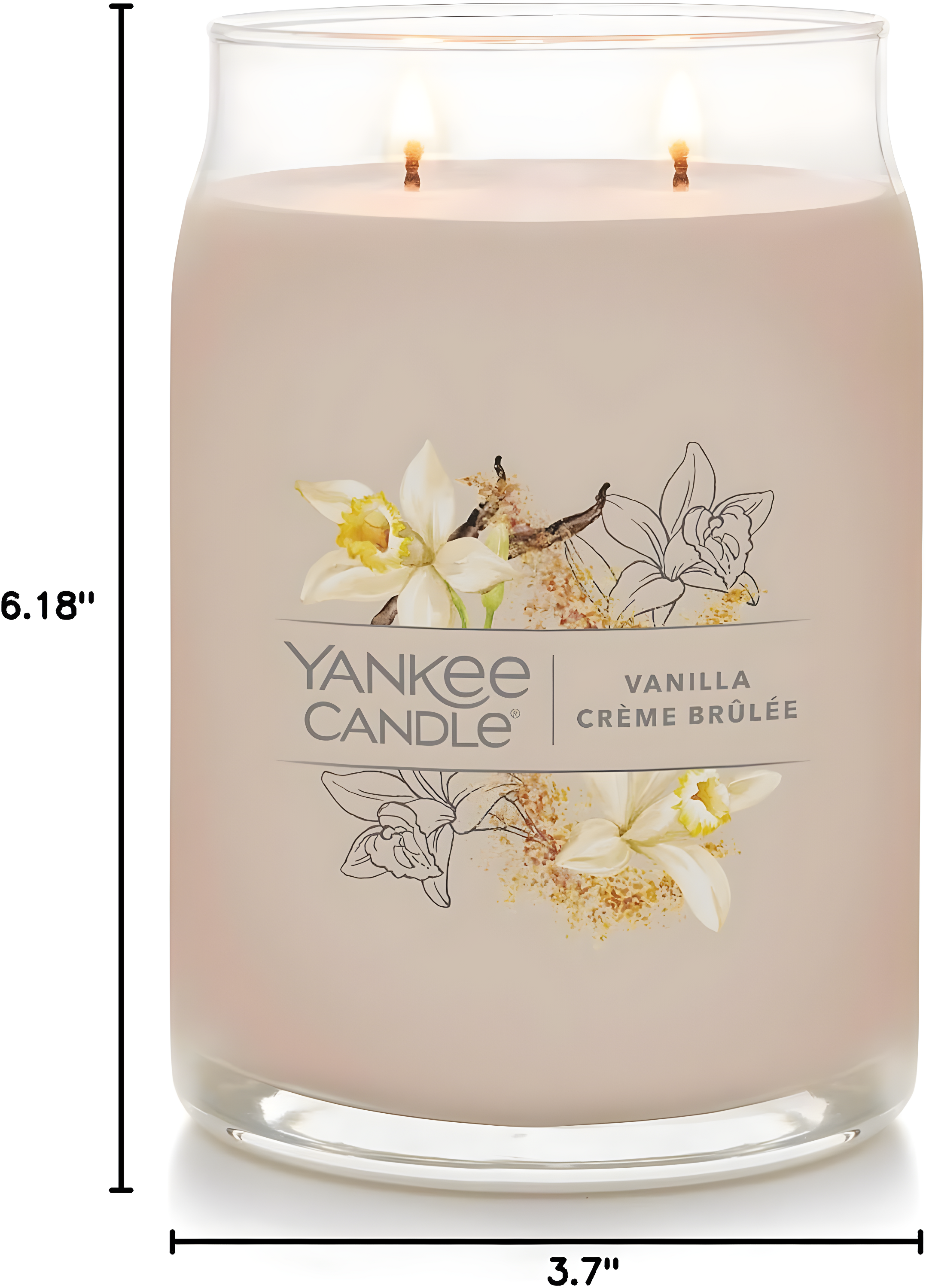 YANKEE CANDLE Signature Vanilla Crème Brulée Scented Candle