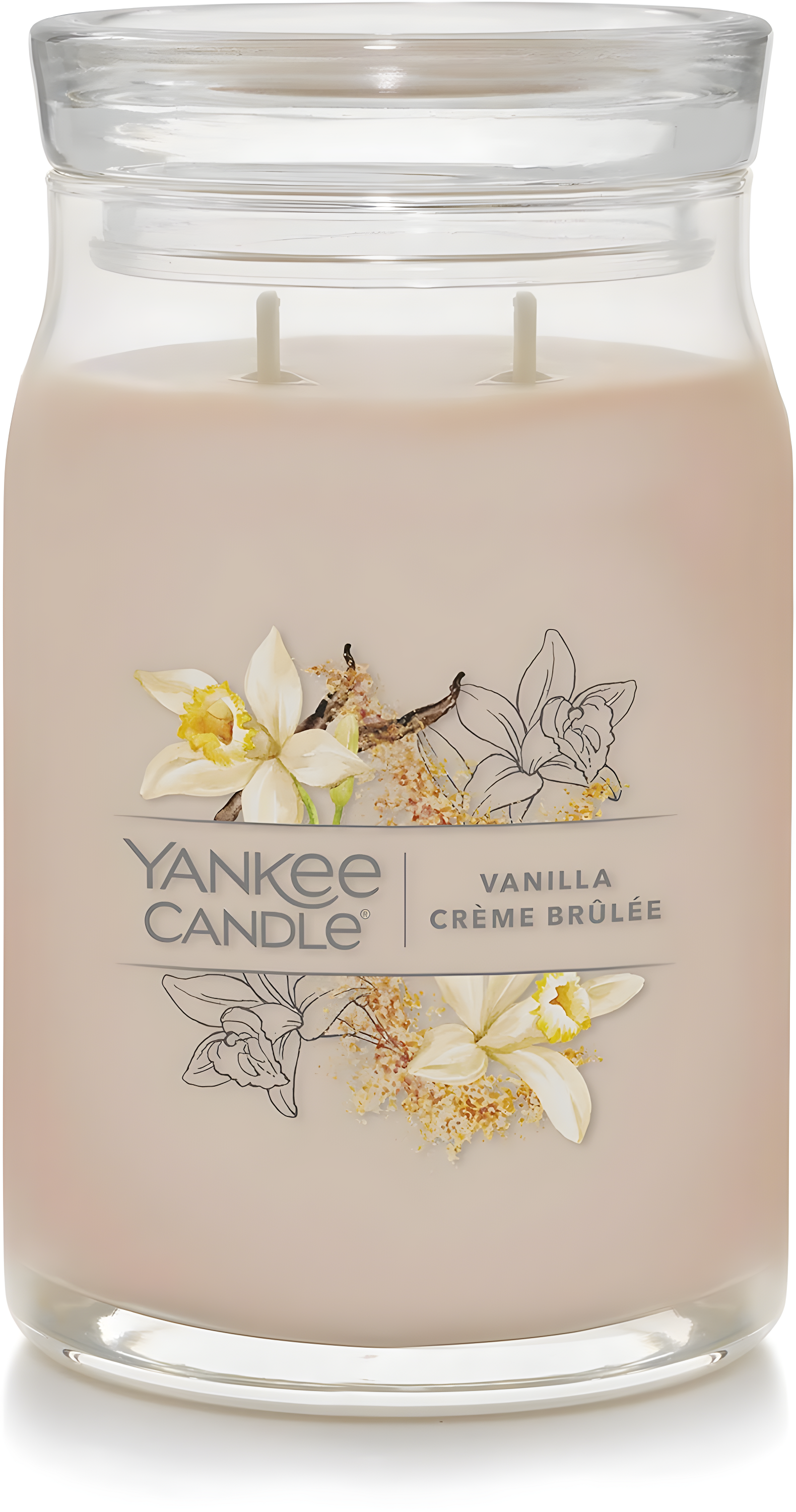YANKEE CANDLE Signature Vanilla Crème Brulée Scented Candle