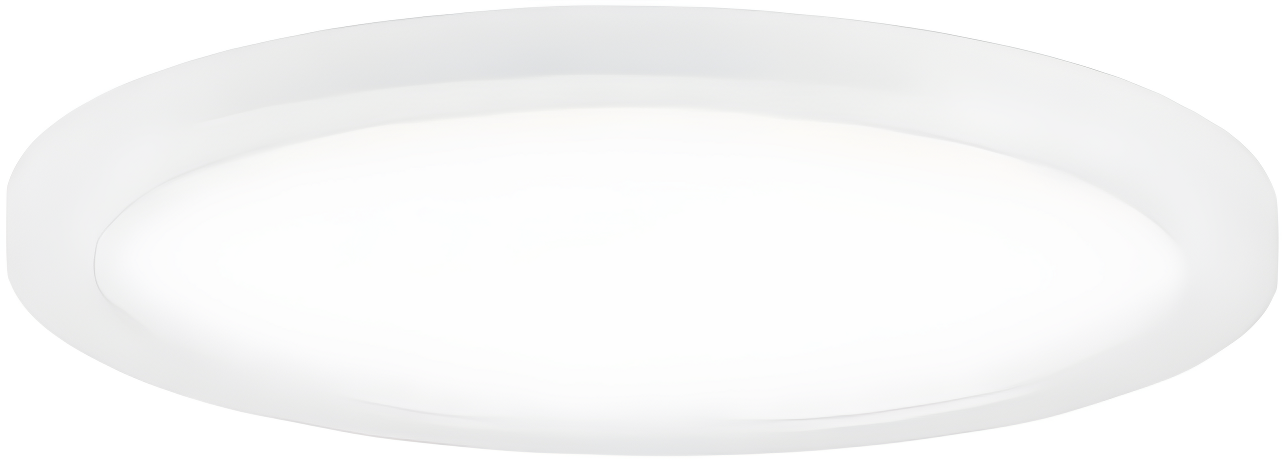 5 in. Chip White LED Flush Mount Ceiling Light