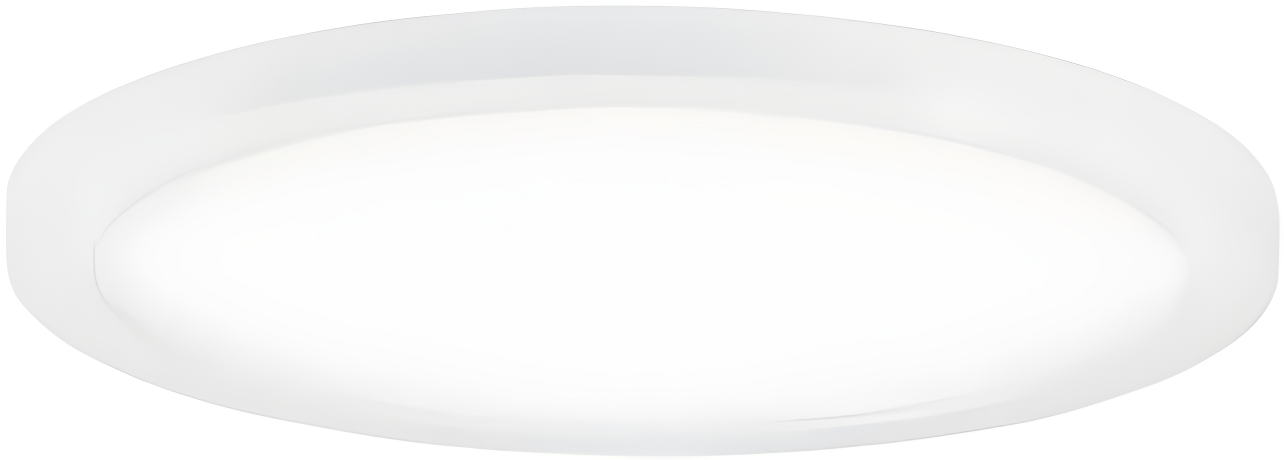 5 in. Chip White LED Flush Mount Ceiling Light
