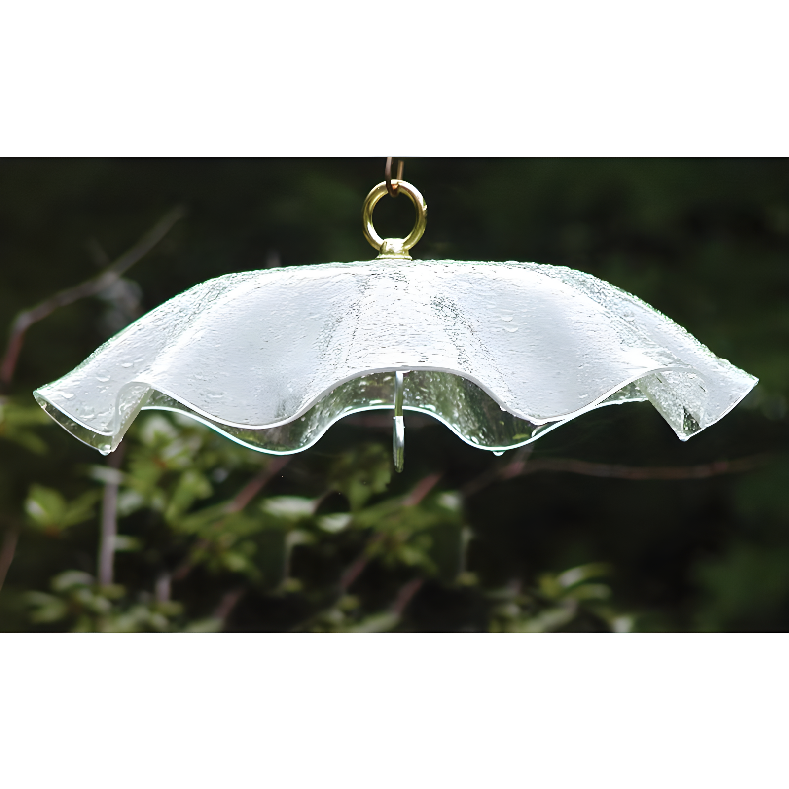 Weather-Resistant Acrylic Bird Weatherguard Cover