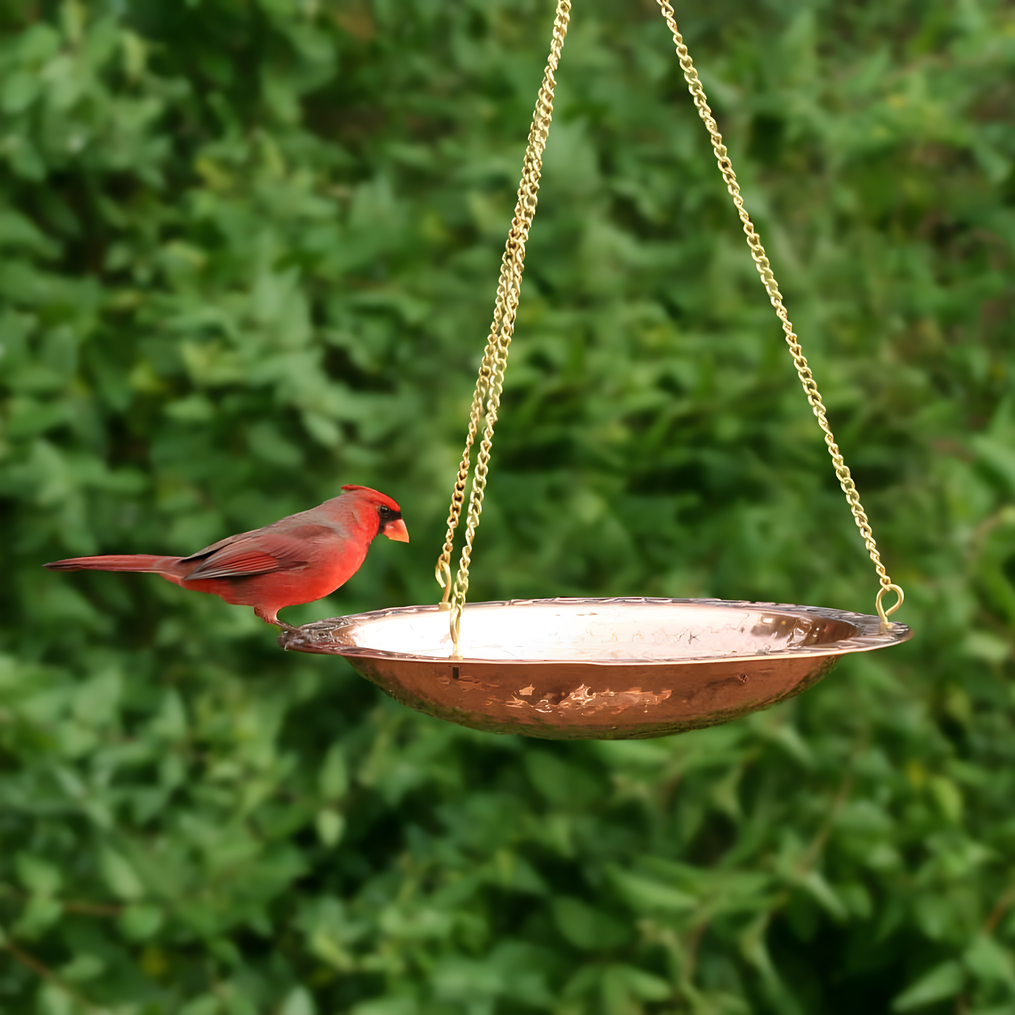 Good Directions Pure Copper Hanging Bird Bath, 13.5” Diameter, Features a Brass Chain, Bird Feeder