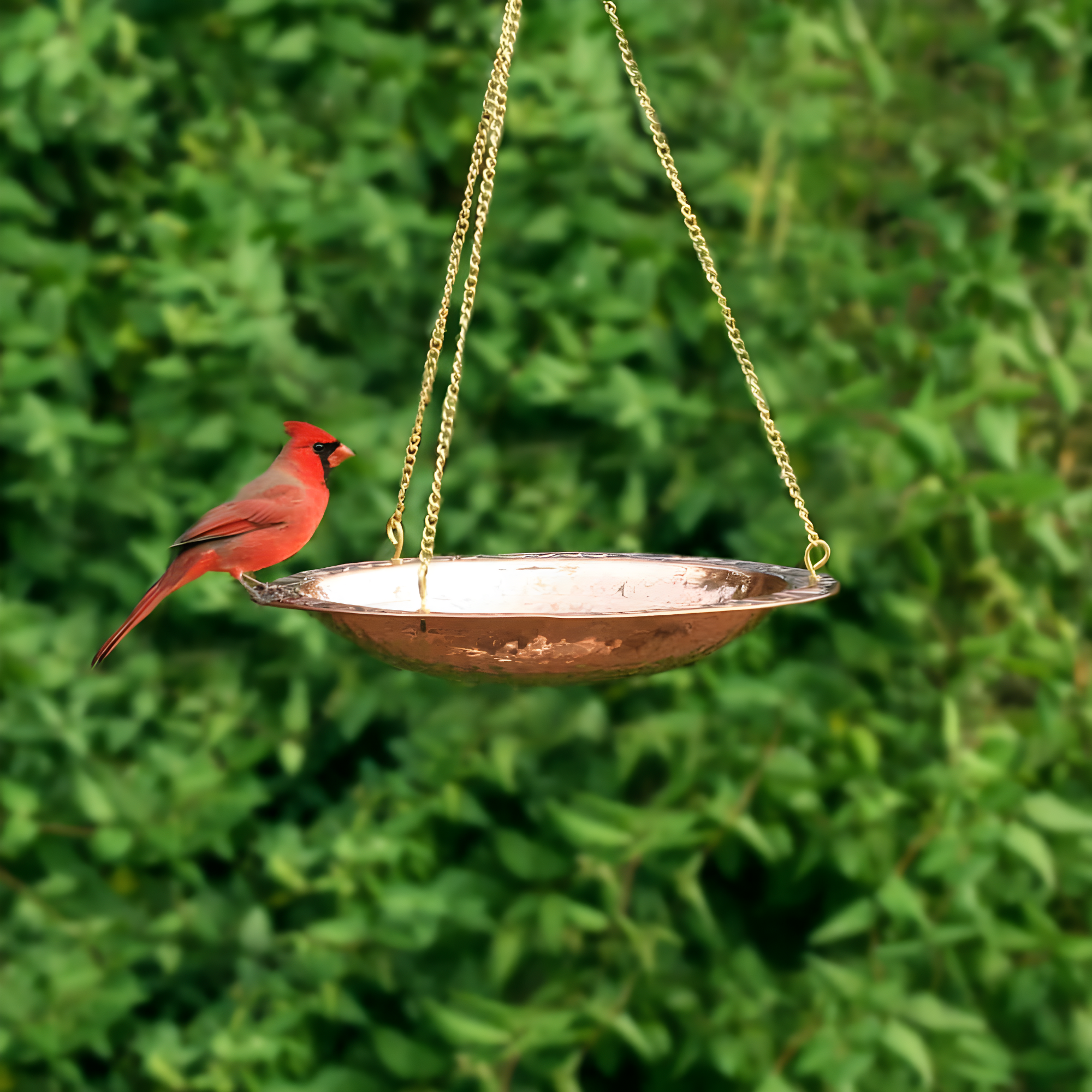 Good Directions Pure Copper Hanging Bird Bath, 13.5” Diameter, Features a Brass Chain, Bird Feeder