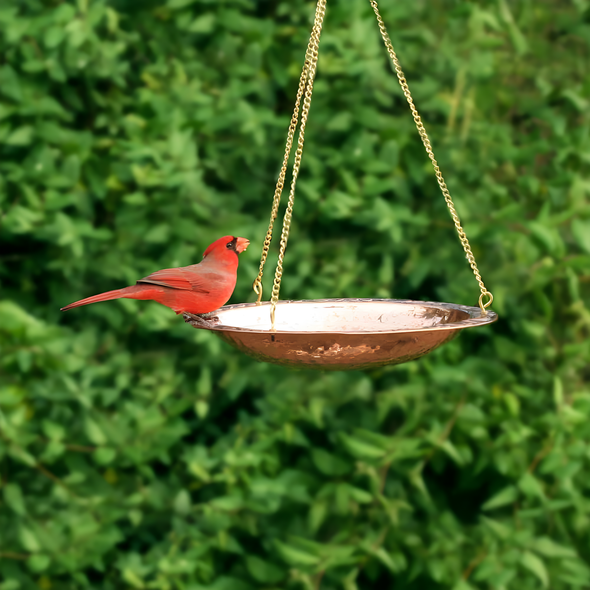 Good Directions Pure Copper Hanging Bird Bath, 13.5” Diameter, Features a Brass Chain, Bird Feeder