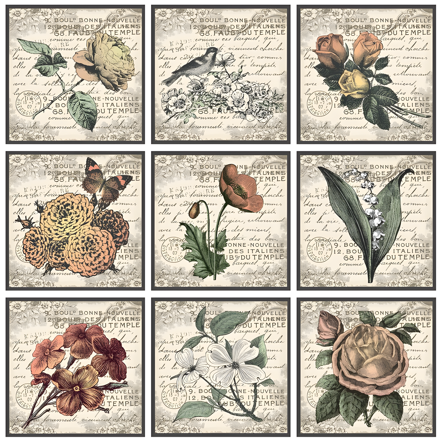 Ophelia & Co. Firebaugh " French Botanical Illustrations " by In House Art 9 - Pieces