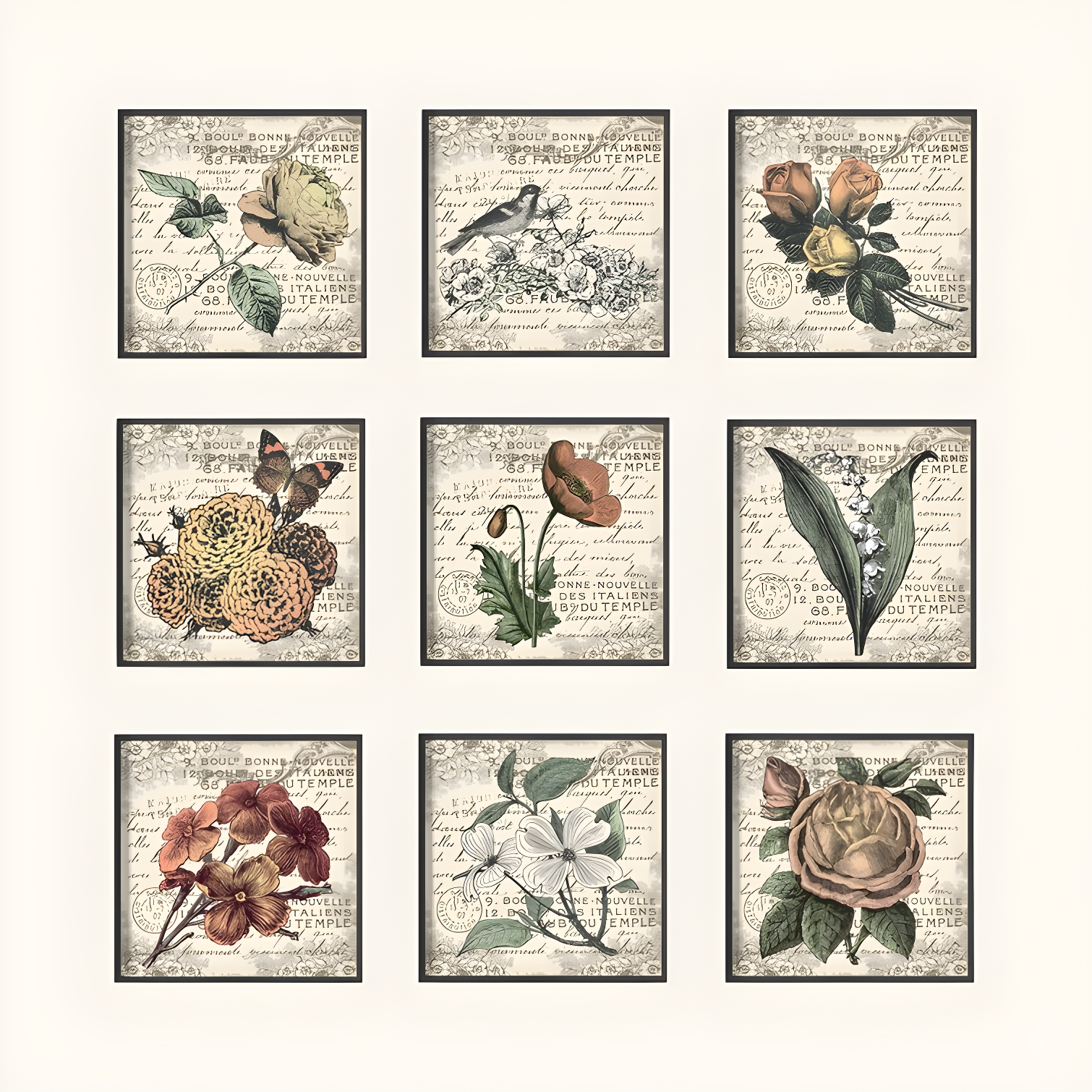 Ophelia & Co. Firebaugh " French Botanical Illustrations " by In House Art 9 - Pieces