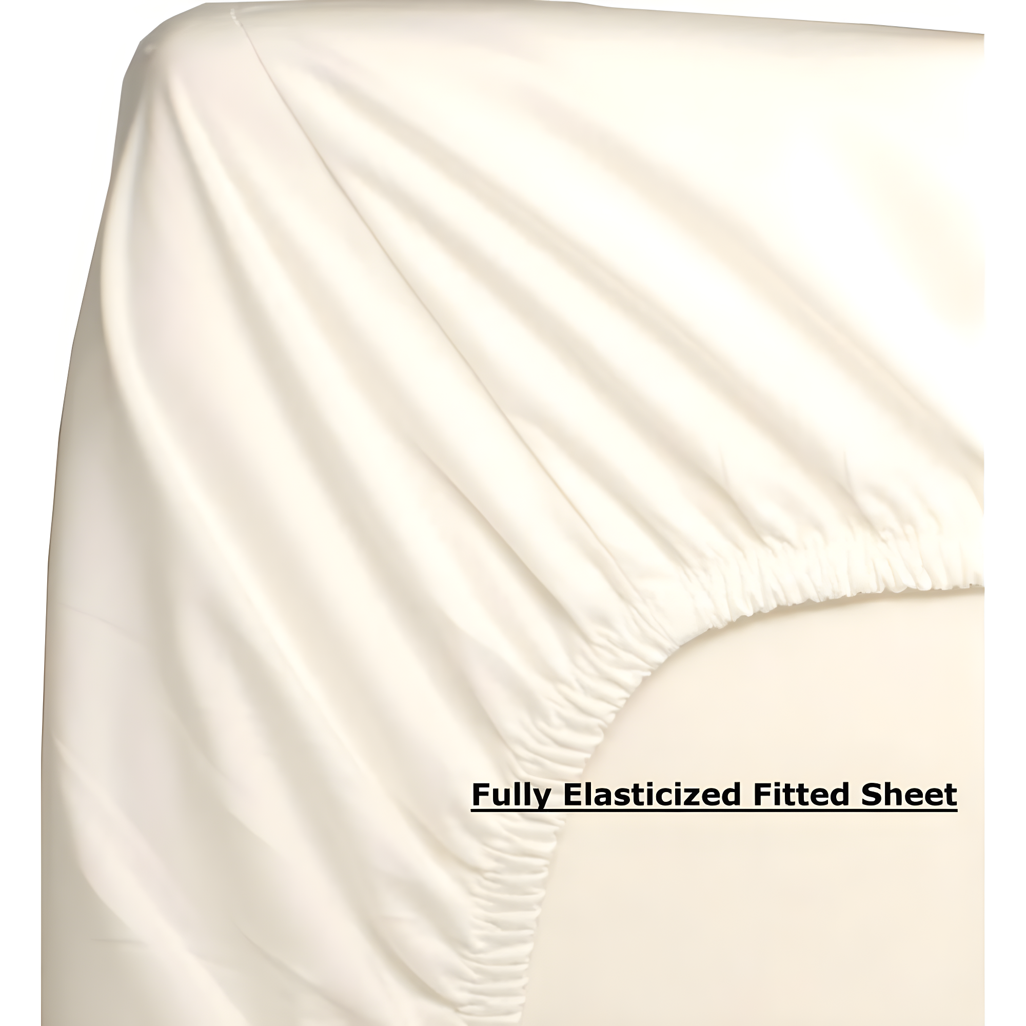 Eddie Bauer Eddie Bauer Printed Cotton Percale Sheet Sets