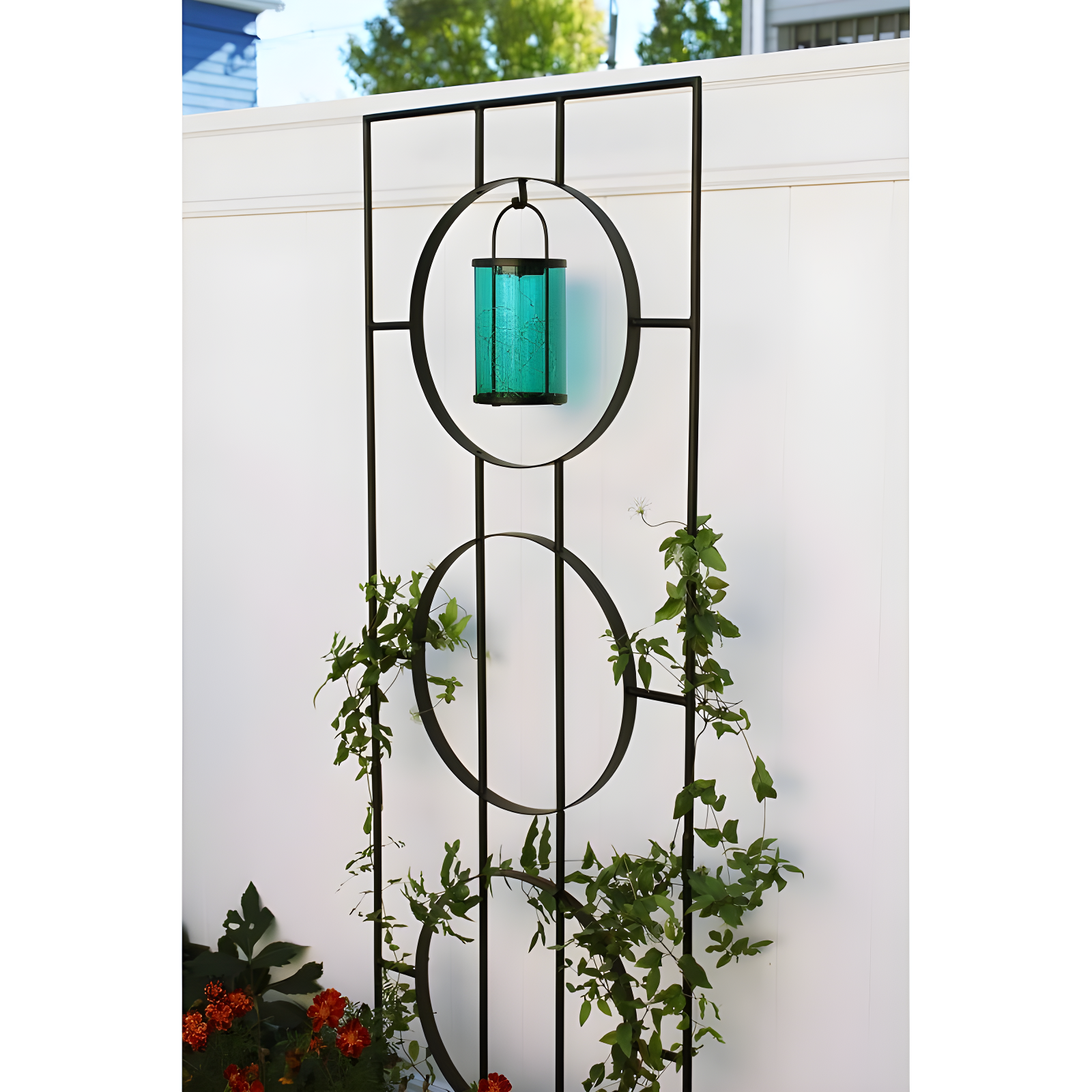 Theodora Trellis