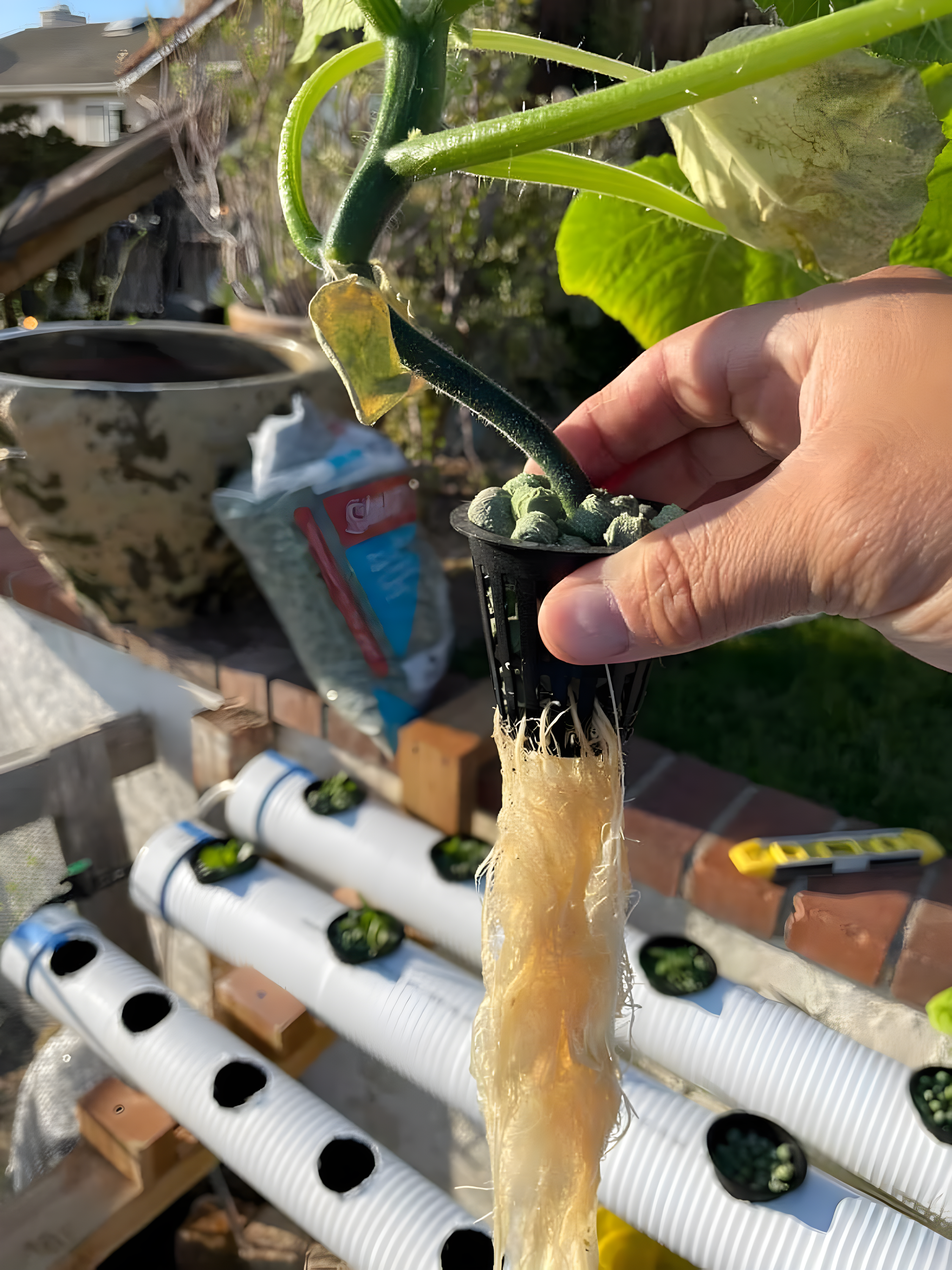 Arqlite Weather Resistant Plant Support