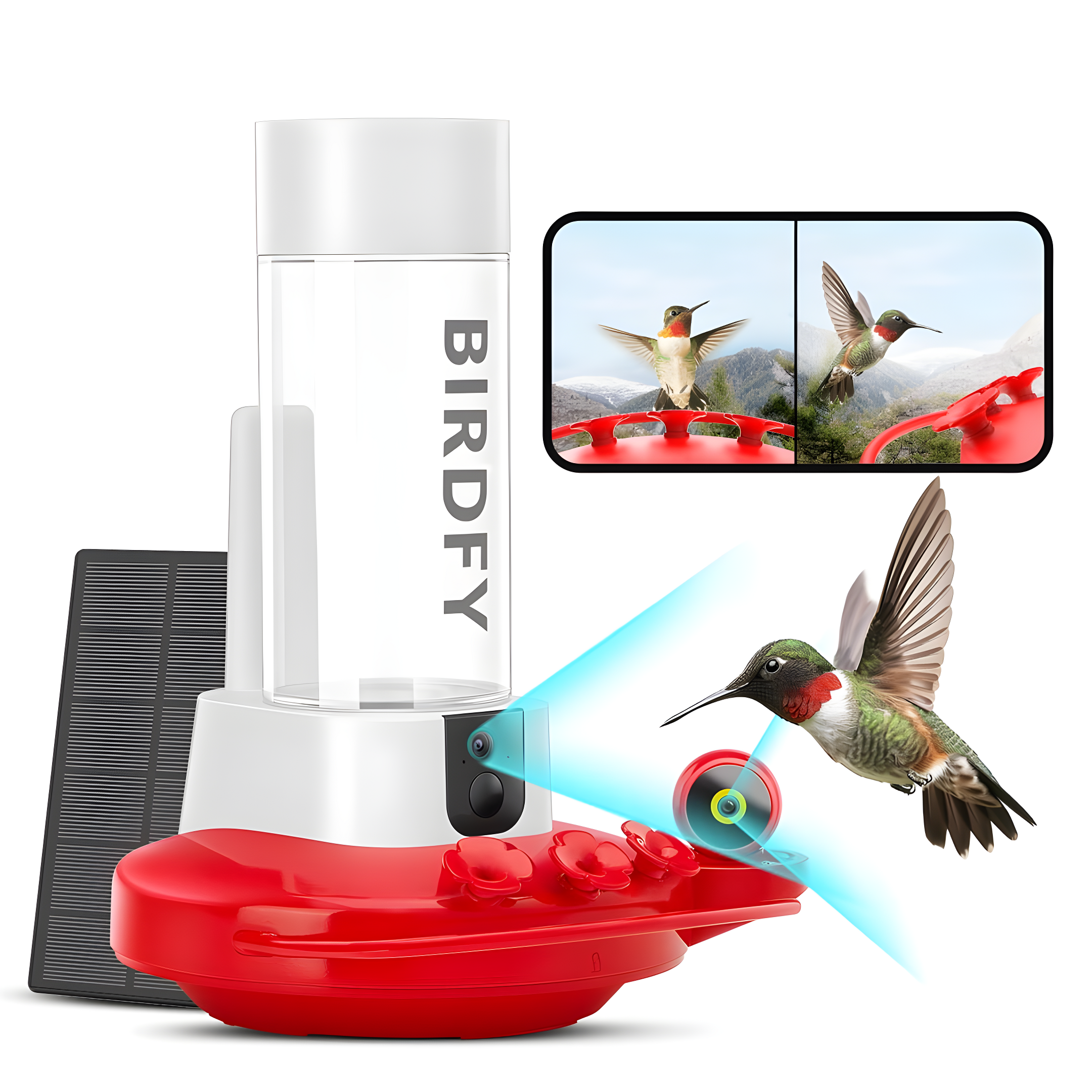 Birdfy NETVUE Birdfy Hummingbird Feeder with 2 Cameras Solar Powered - Dual Smart Cams, 2K HD Wireless for 2 Angels Close-up Bird Watching Outdoor, Instant Notifications (20Oz) (Hum Duo AI Solar)