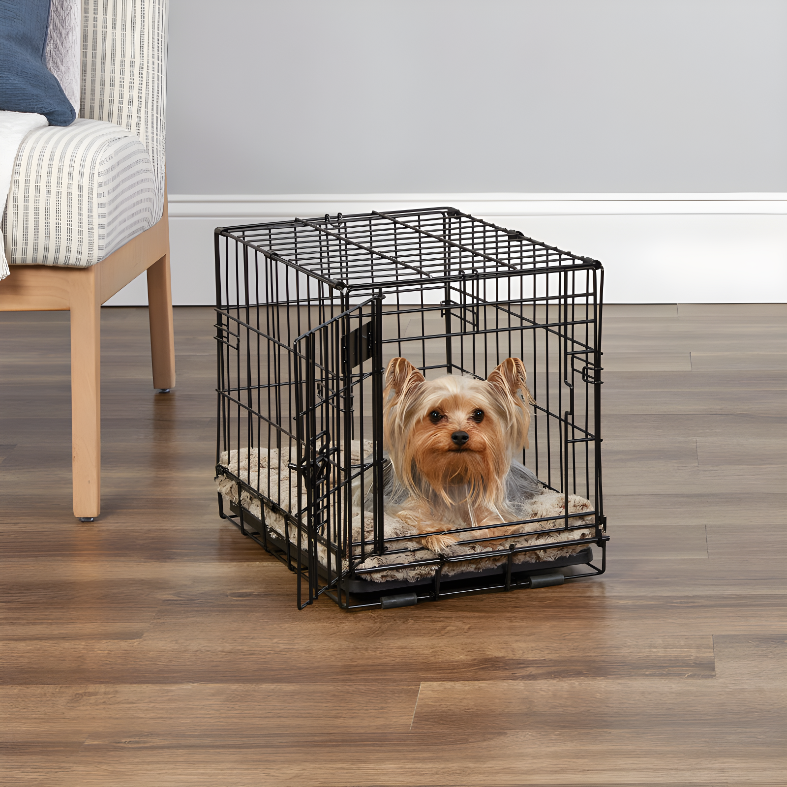 MidWest Homes for Pets Newly Enhanced Single Door iCrate Dog Crate Includes Divider Panel