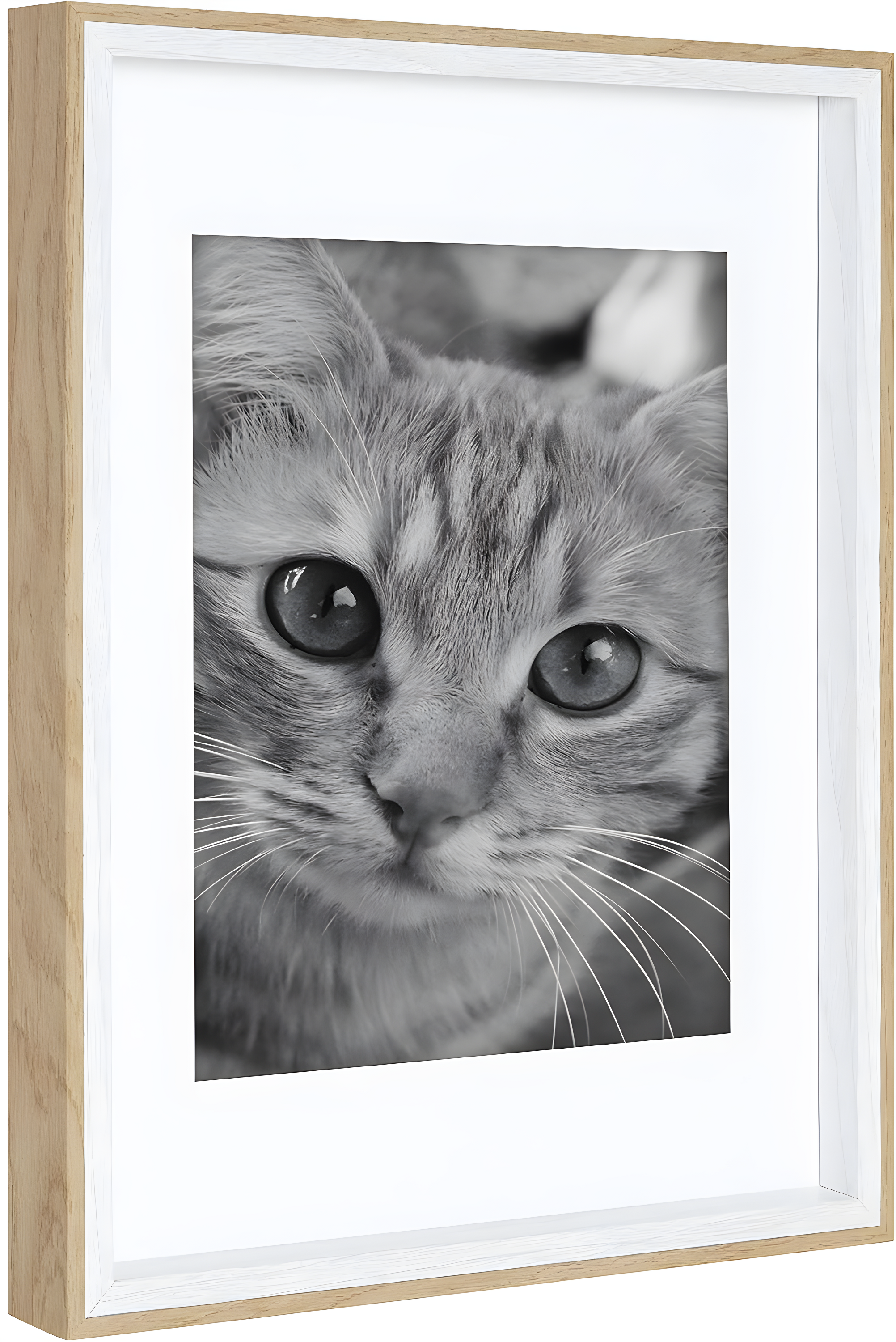 Emani Picture Frame - Set of 10 with Mat