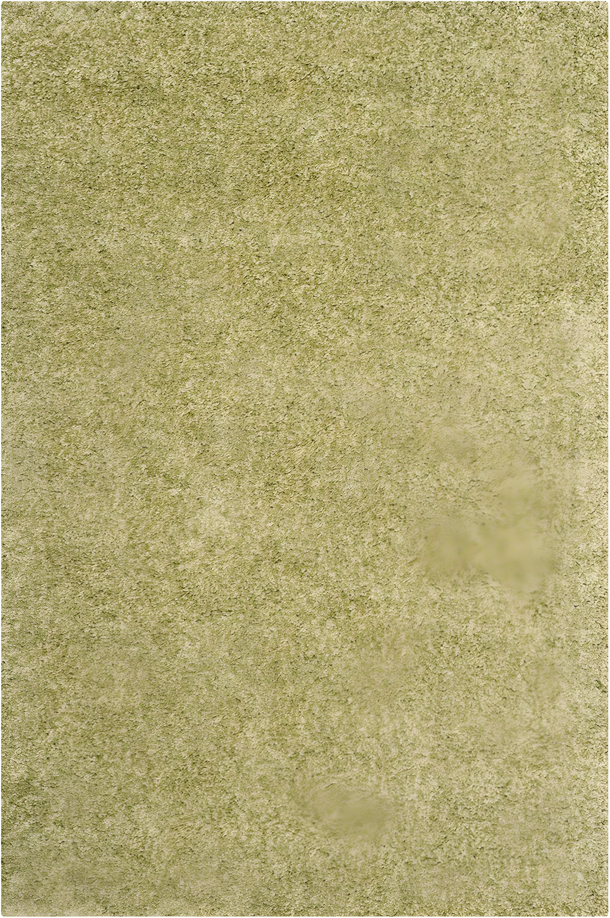 California Shag SG151 Power Loomed Indoor Accent Rug - Green - 4'x6' - Safavieh