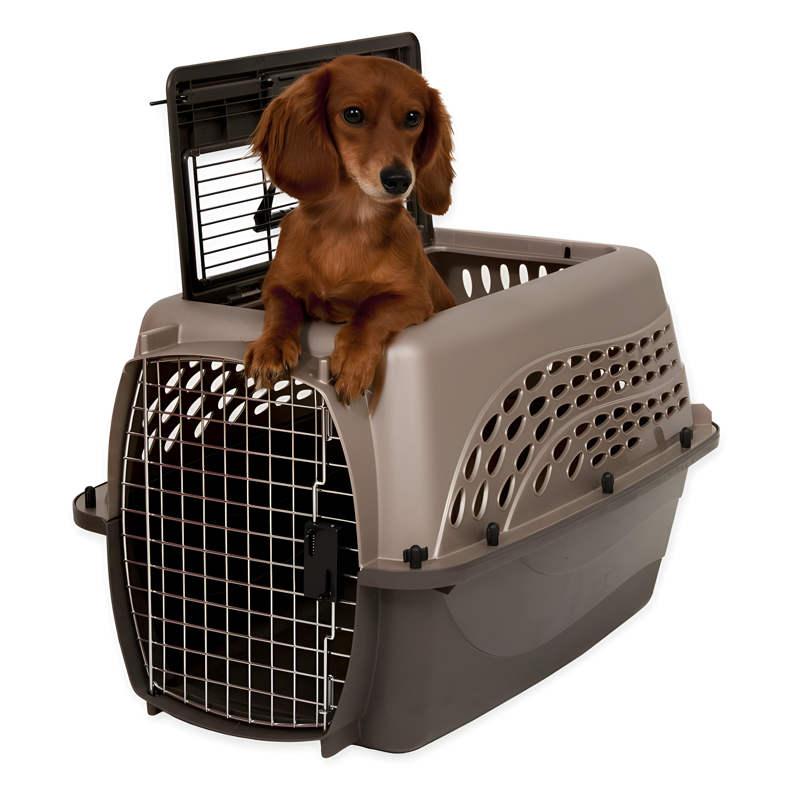 Plastic Pet Carrier with 1 Door
