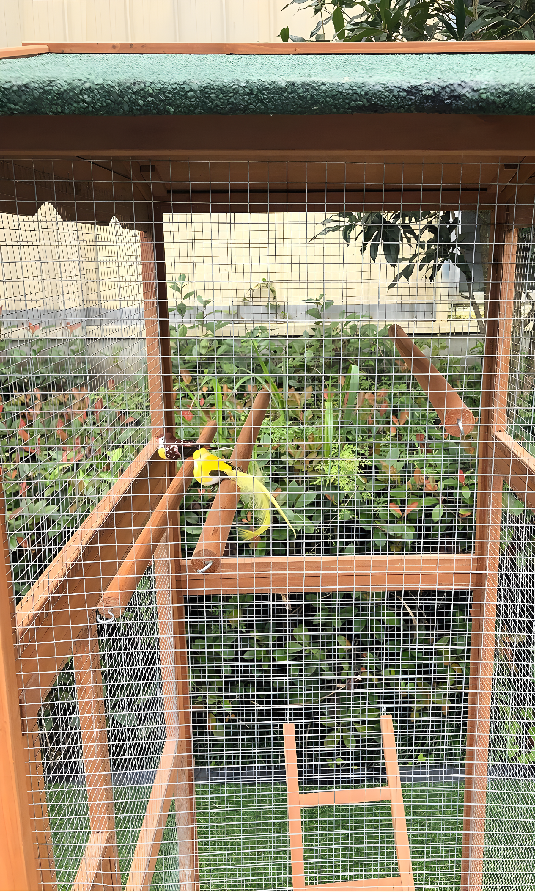 Hanover Outdoor Wooden Bird Cage with 3 Resting Bars, Ladder, Waterproof Roof and Removable Tray, 2.9 Ft. x 2.1 Ft. x 5.8 Ft.