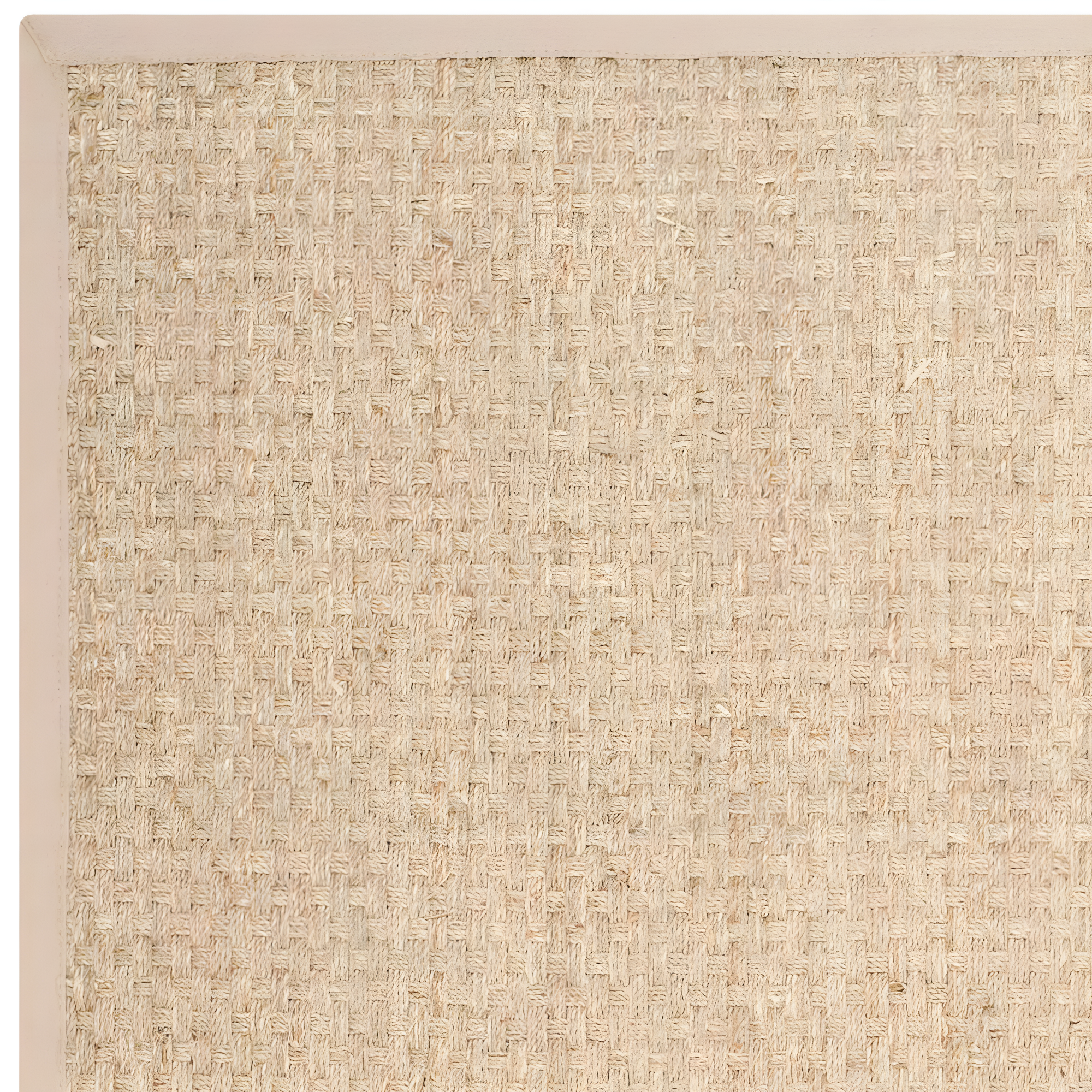 Natural Fiber NF114 Power Loomed Indoor Area Rug - Natural/Beige - 5'x8' - Safavieh.