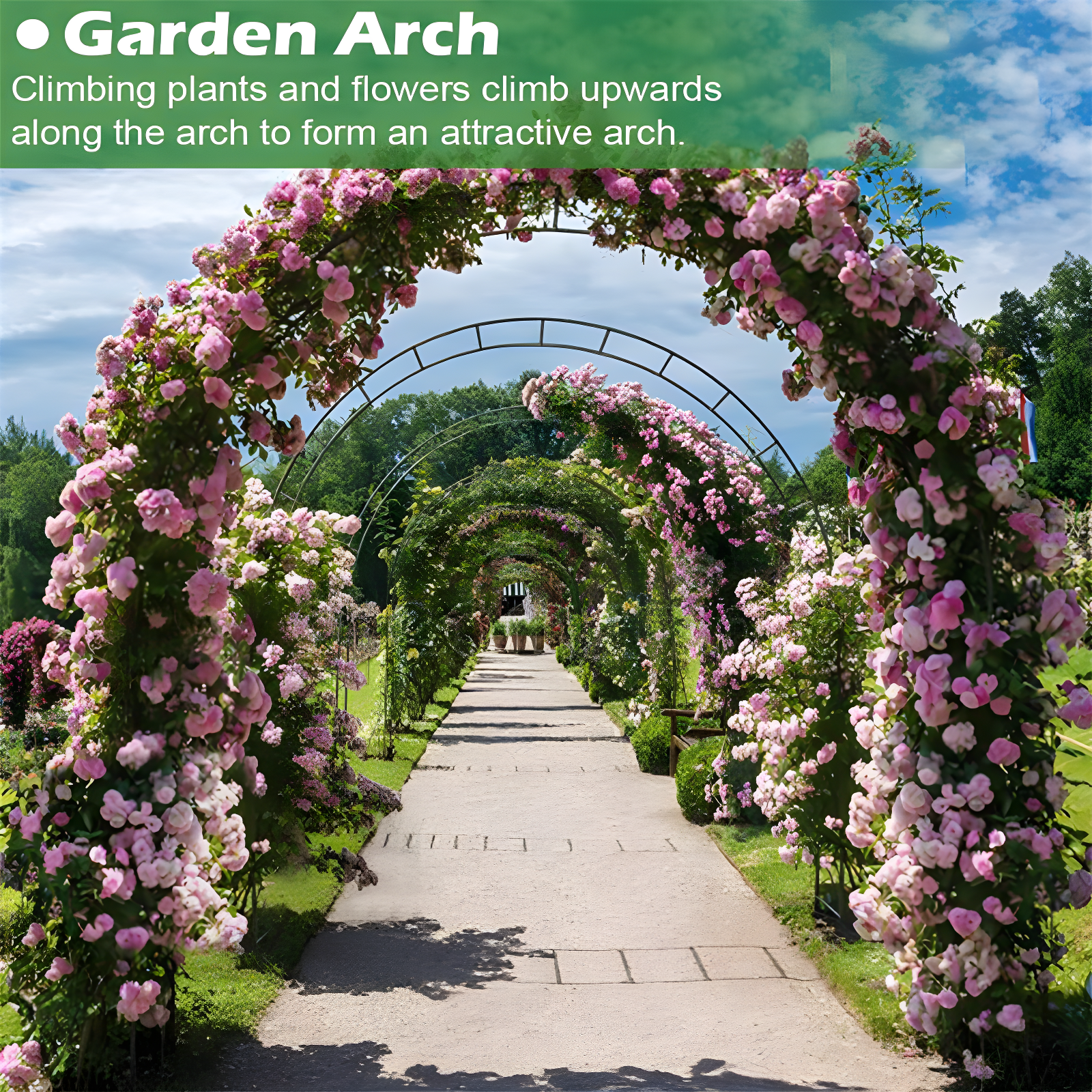 Garden Arch 7.2 Feet Wide By 9.2 Feet High