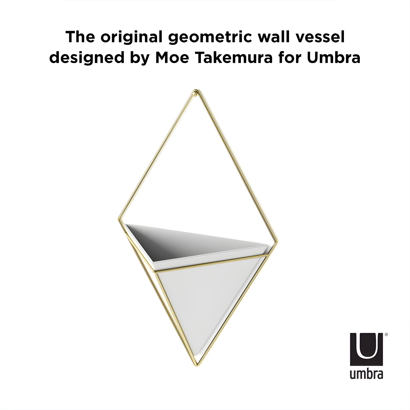 Umbra Trigg Planter Wall Decor & Reviews | Wayfair