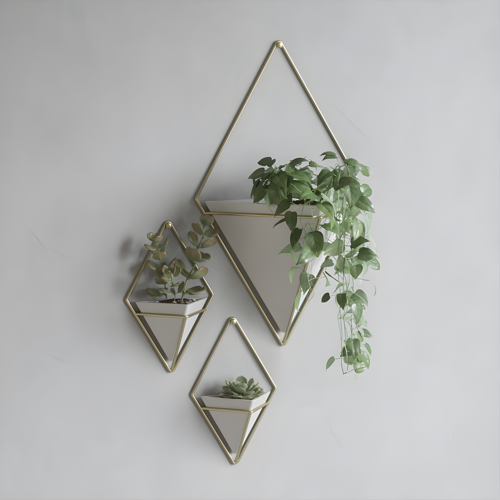 Umbra Trigg Planter Wall Decor & Reviews | Wayfair
