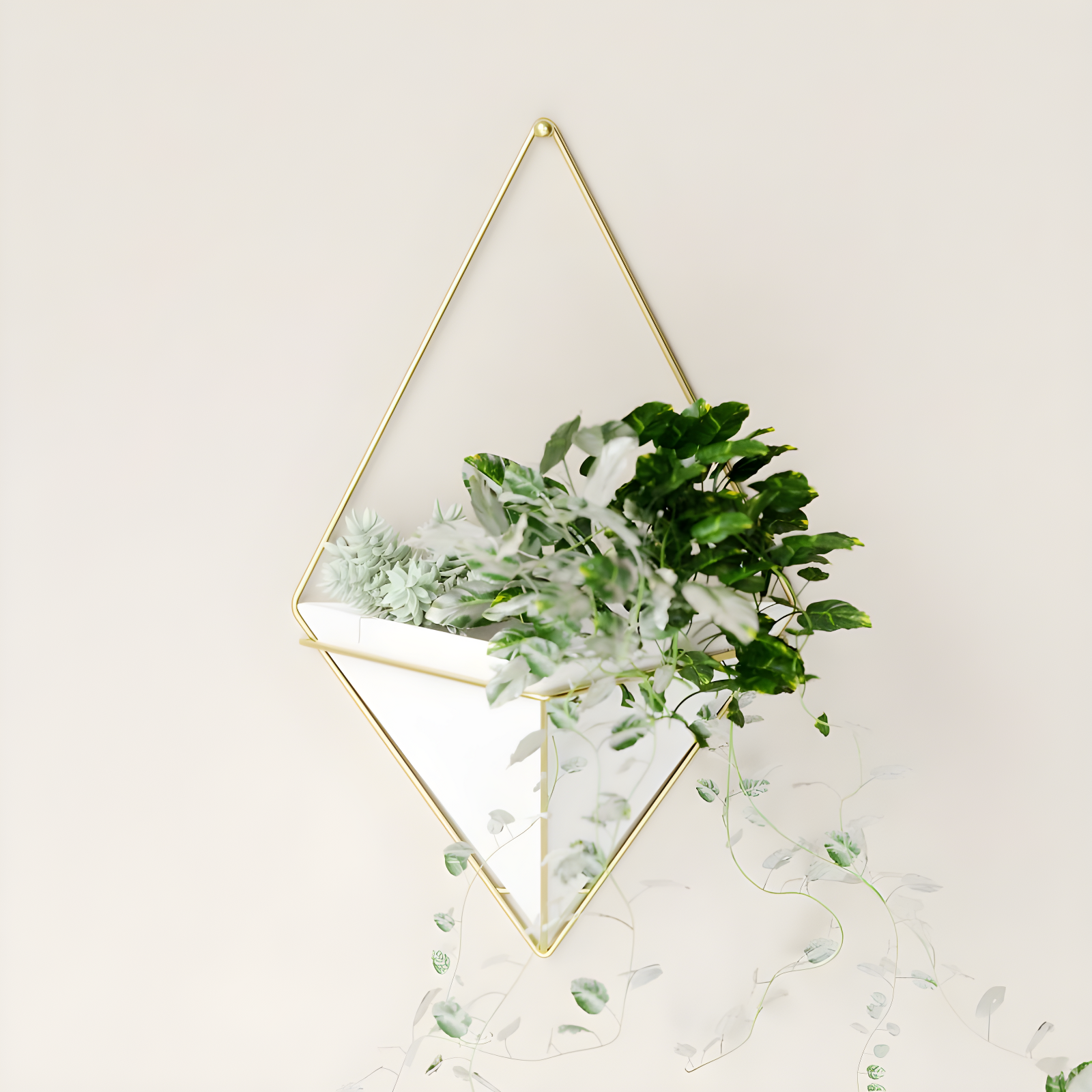 Umbra Trigg Planter Wall Decor & Reviews | Wayfair