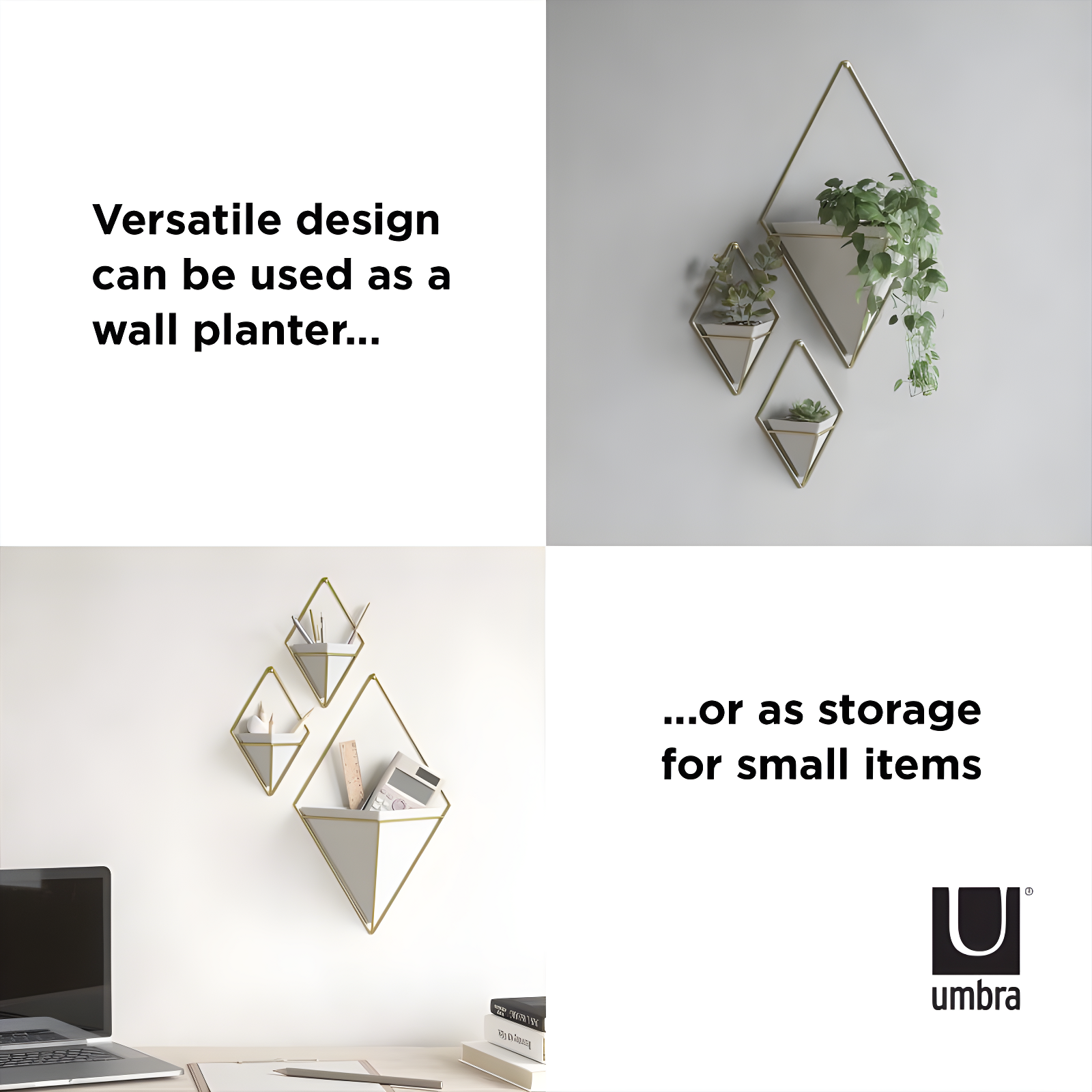 Umbra Trigg Planter Wall Decor & Reviews | Wayfair
