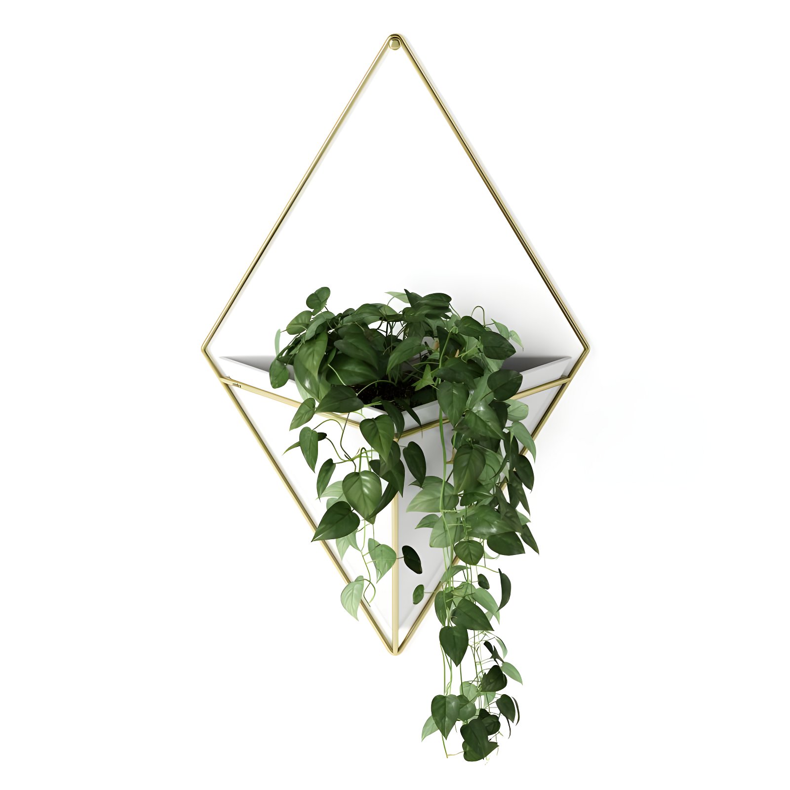 Umbra Trigg Planter Wall Decor & Reviews | Wayfair