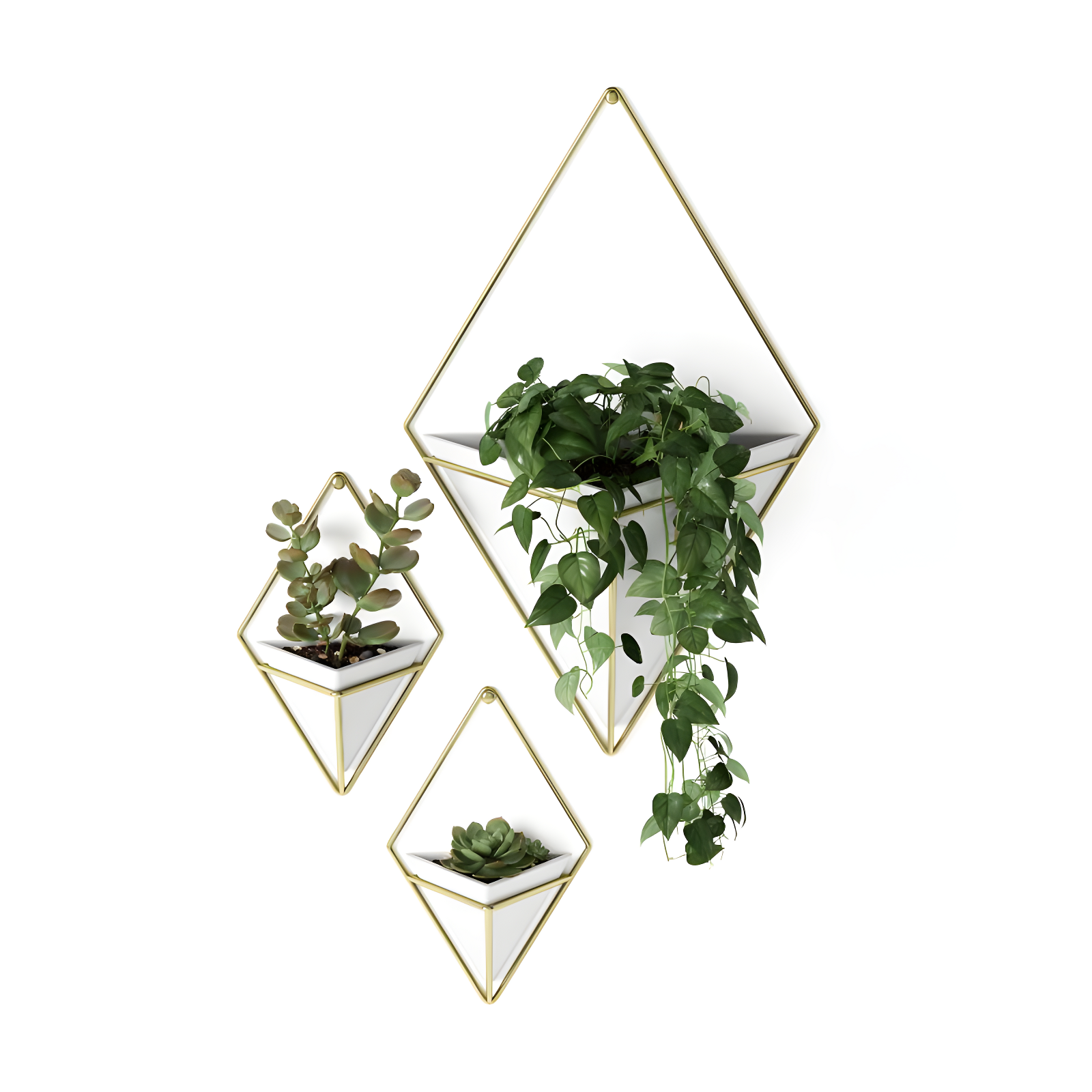 Umbra Trigg Planter Wall Decor & Reviews | Wayfair
