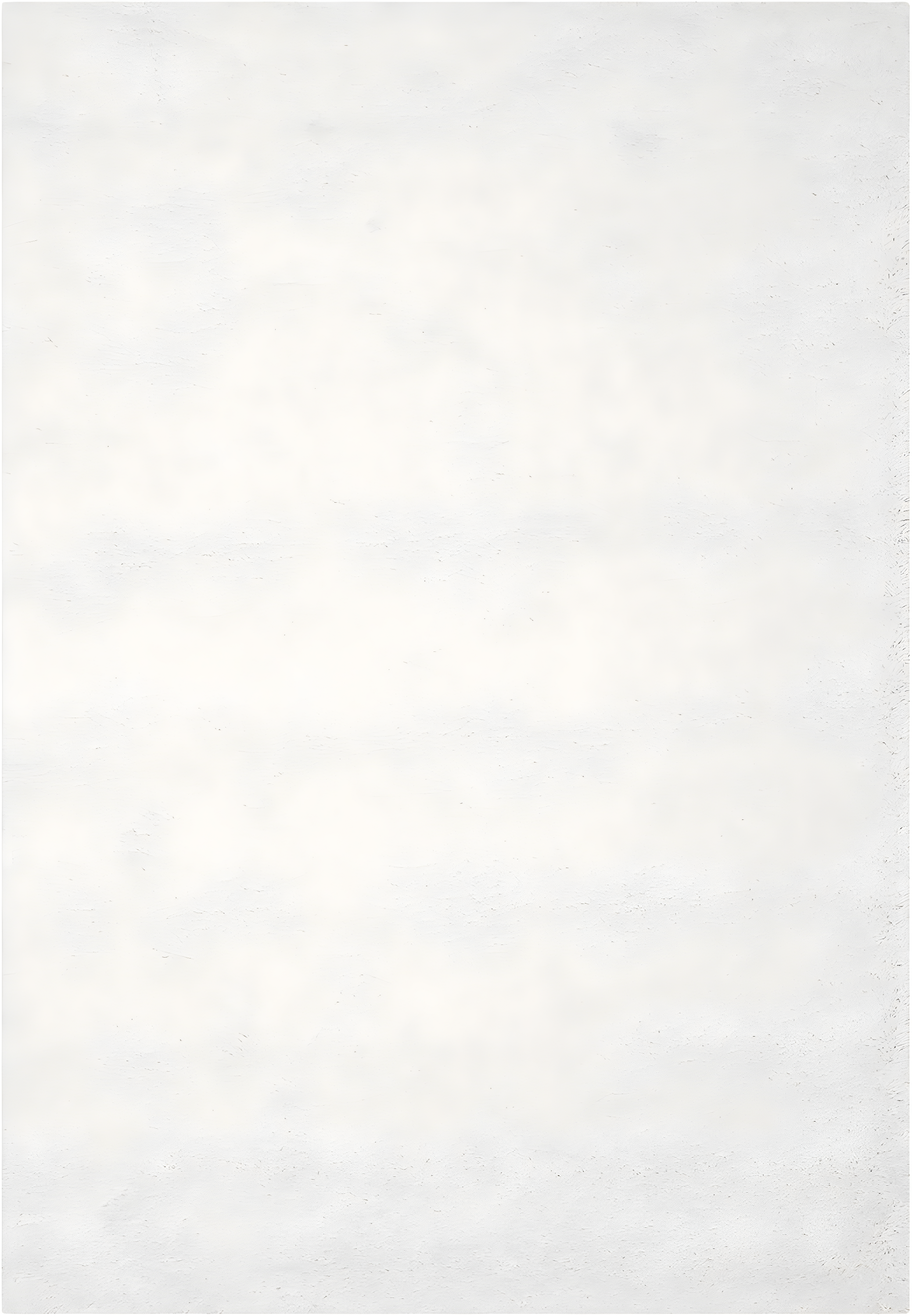 Shag SG151 Power Loomed Indoor Accent Rug - White - 3'x5' - Safavieh.