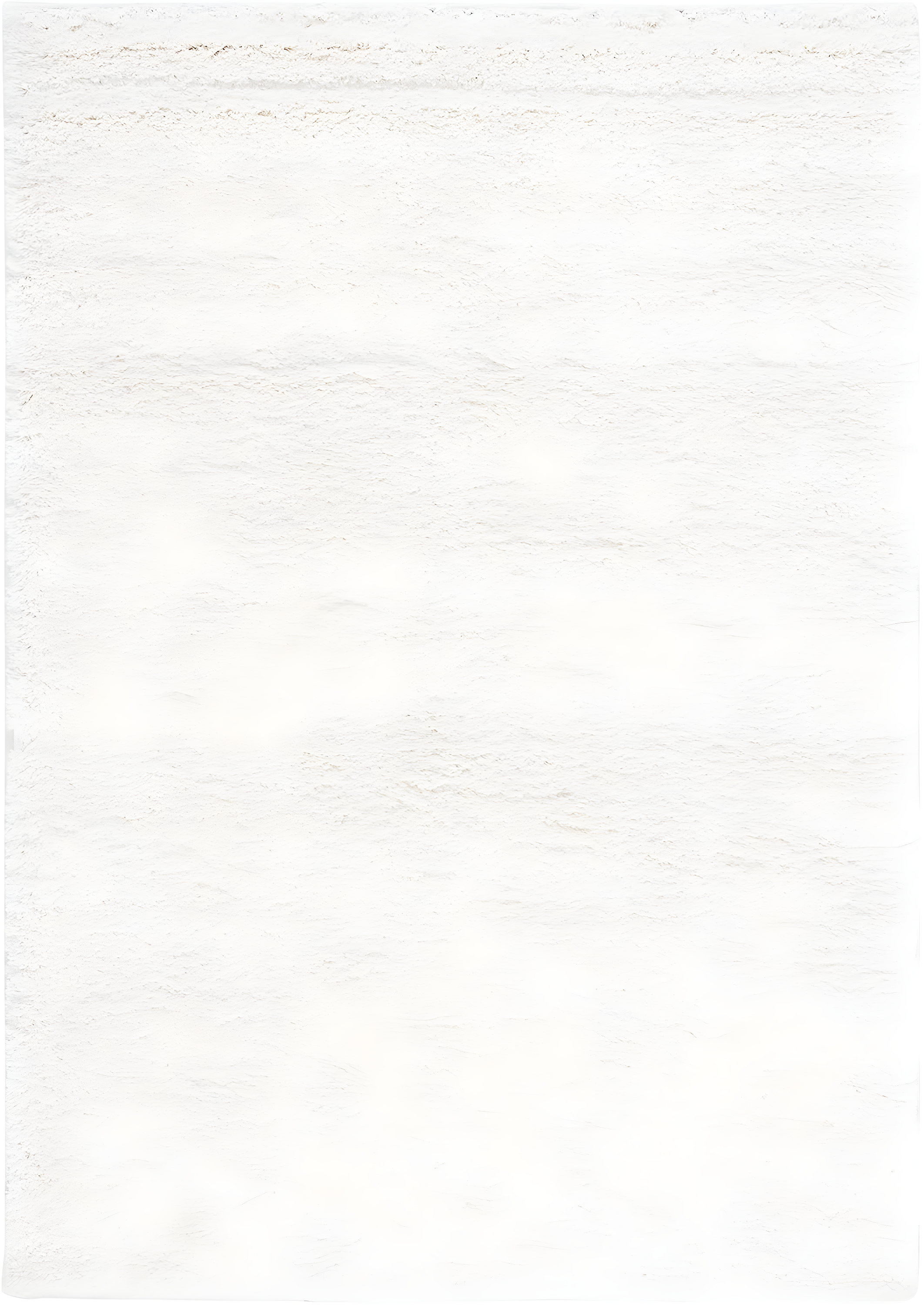 Shag SG151 Power Loomed Indoor Accent Rug - White - 3'x5' - Safavieh.