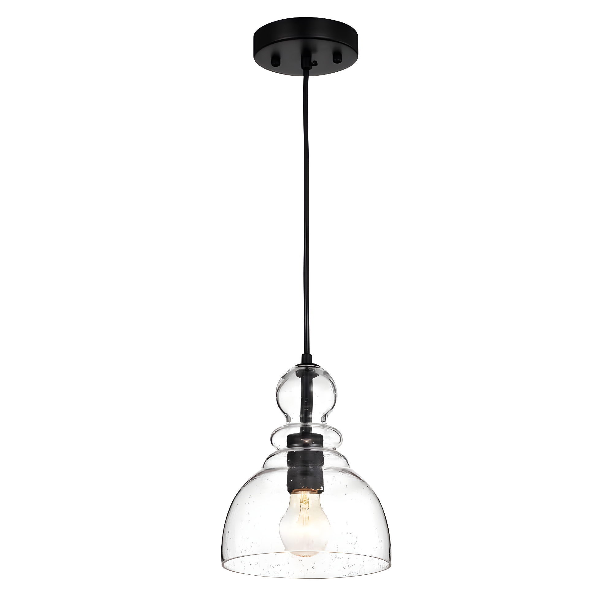 Nefelt Matte Black 1-Light Decanter Seeded Glass Pendant