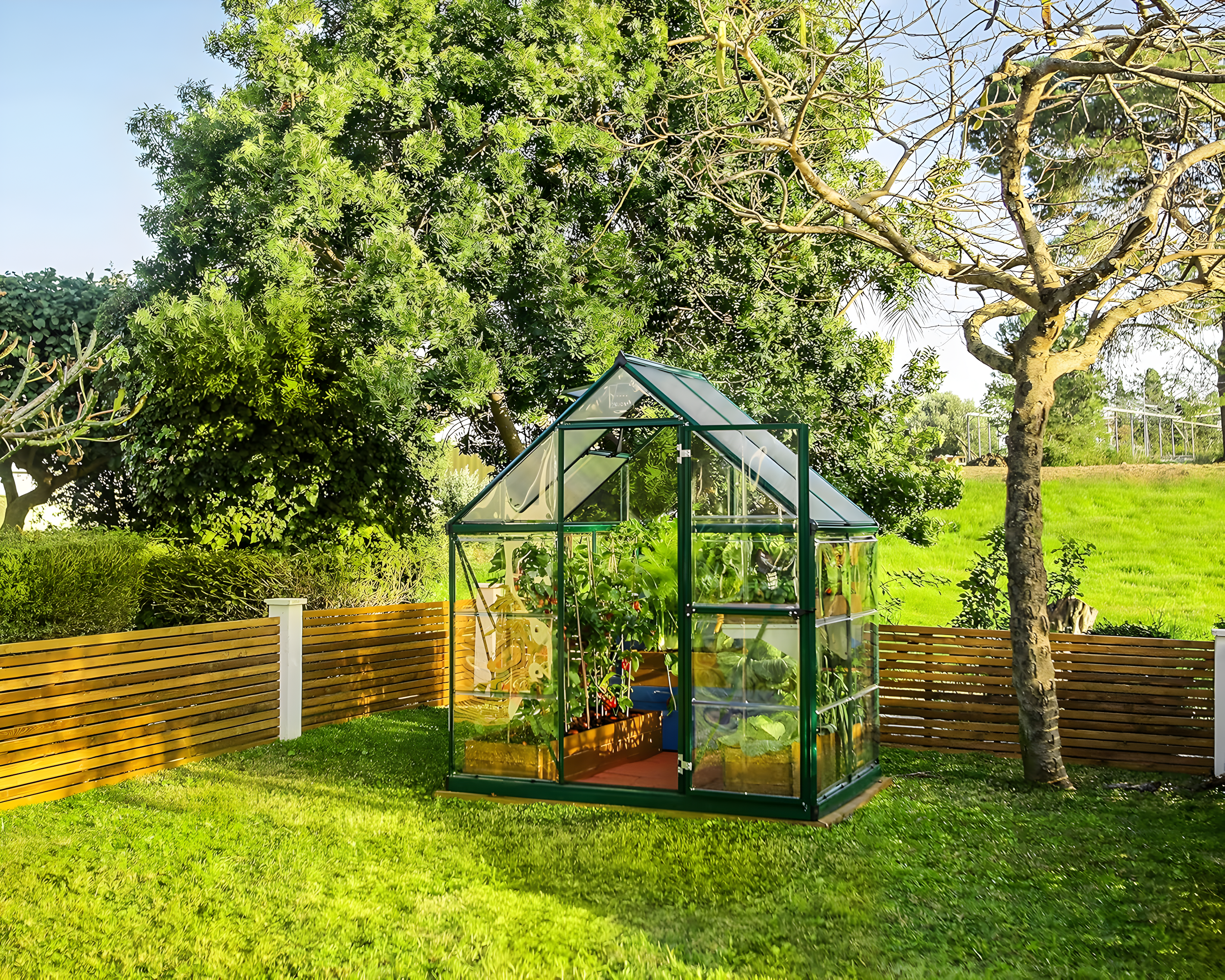 Canopia Palram - Canopia Hybrid Polycarbonate Hobby Greenhouse