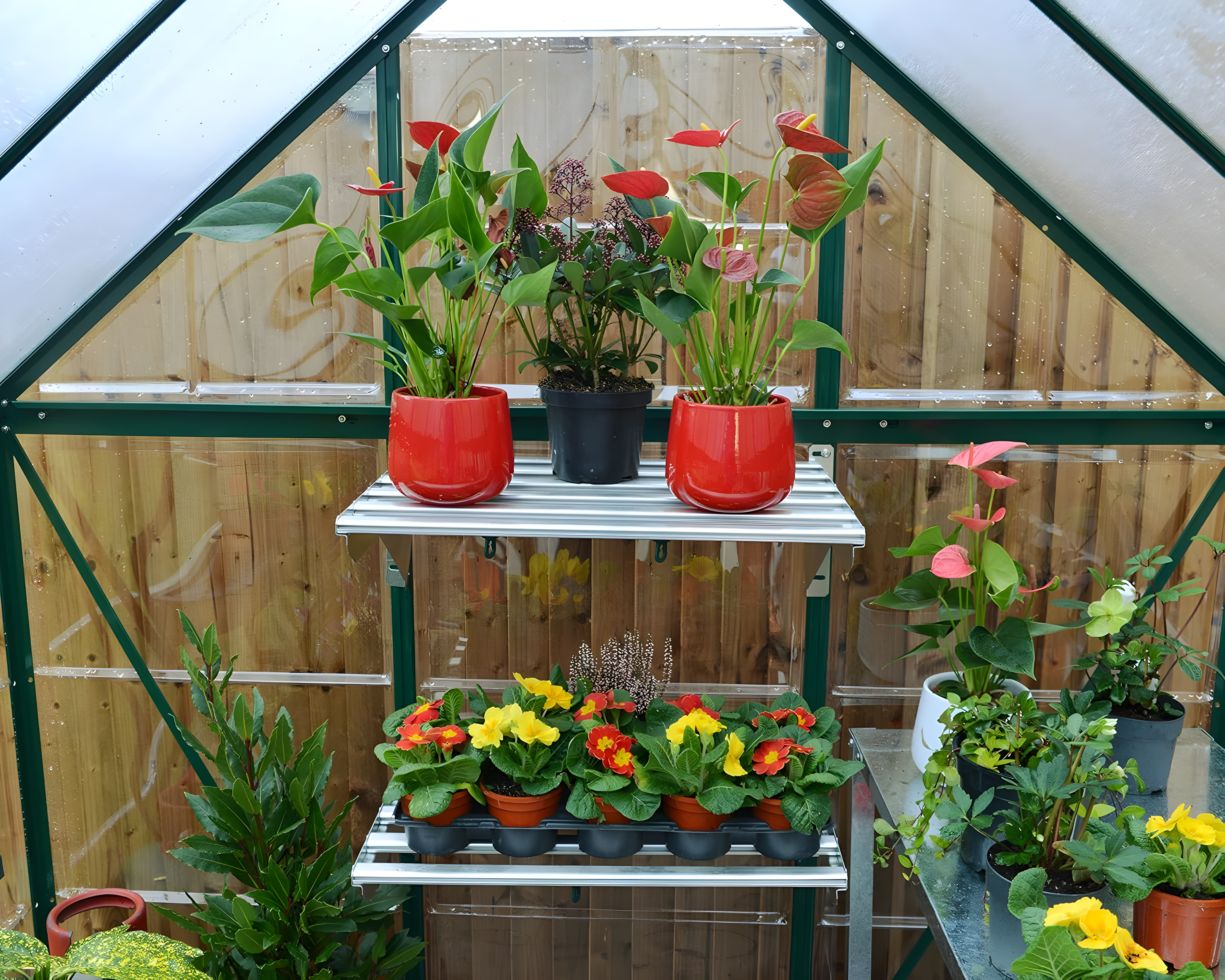 Canopia Palram - Canopia Hybrid Polycarbonate Hobby Greenhouse